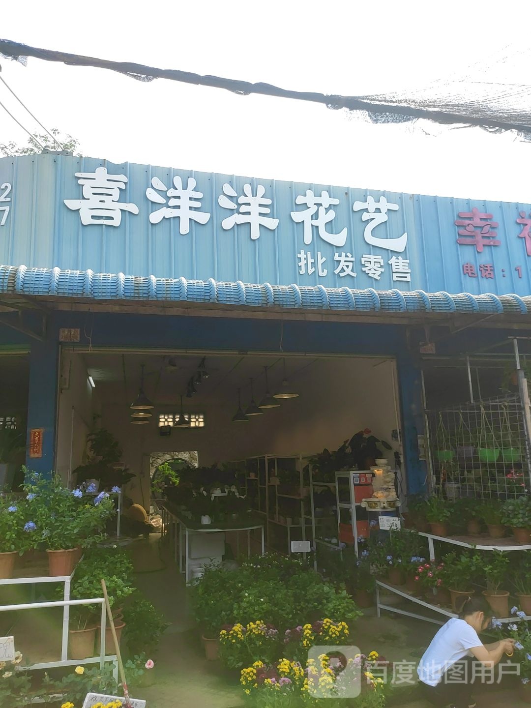 喜洋洋