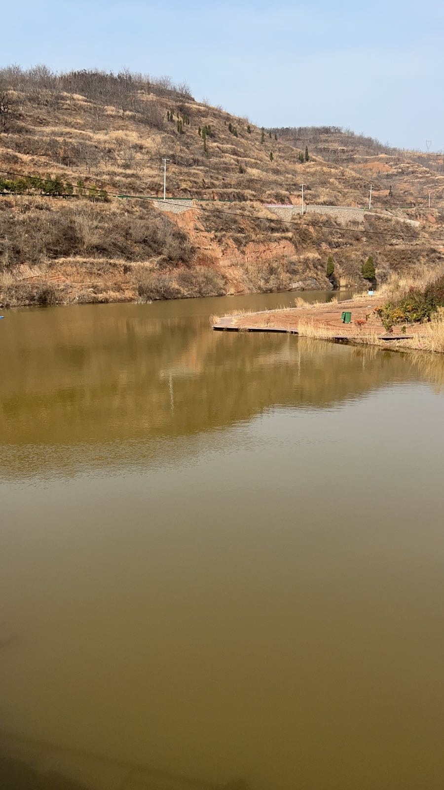 茶房垂钓园