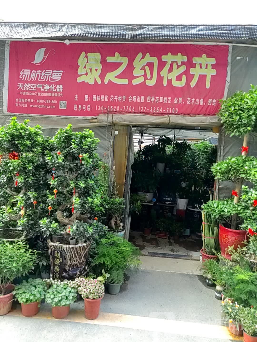 绿之约花卉