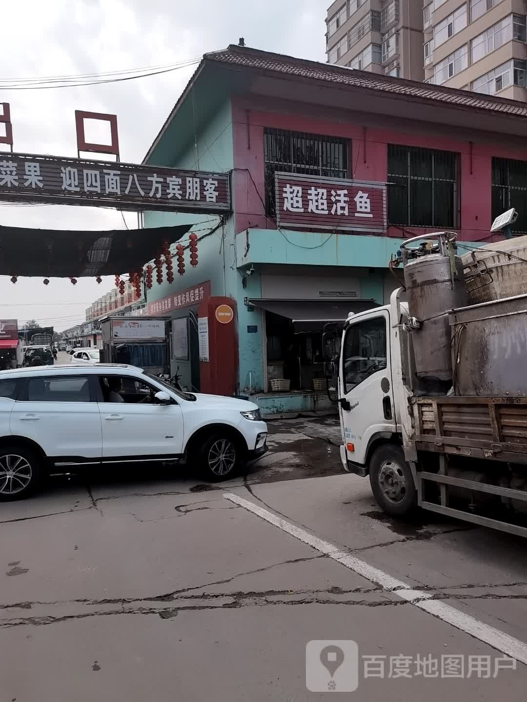 超超活鱼