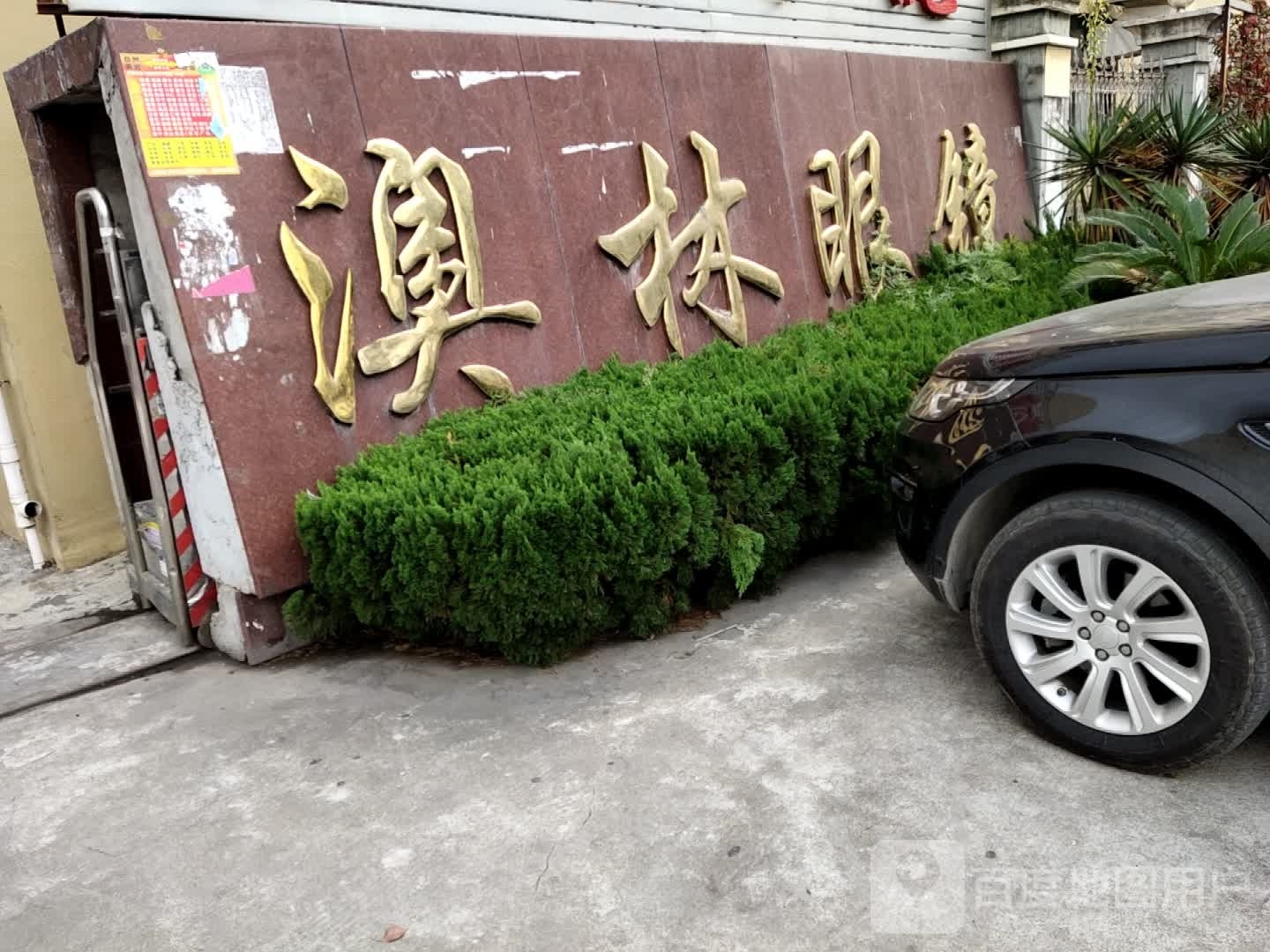 澳林眼睛
