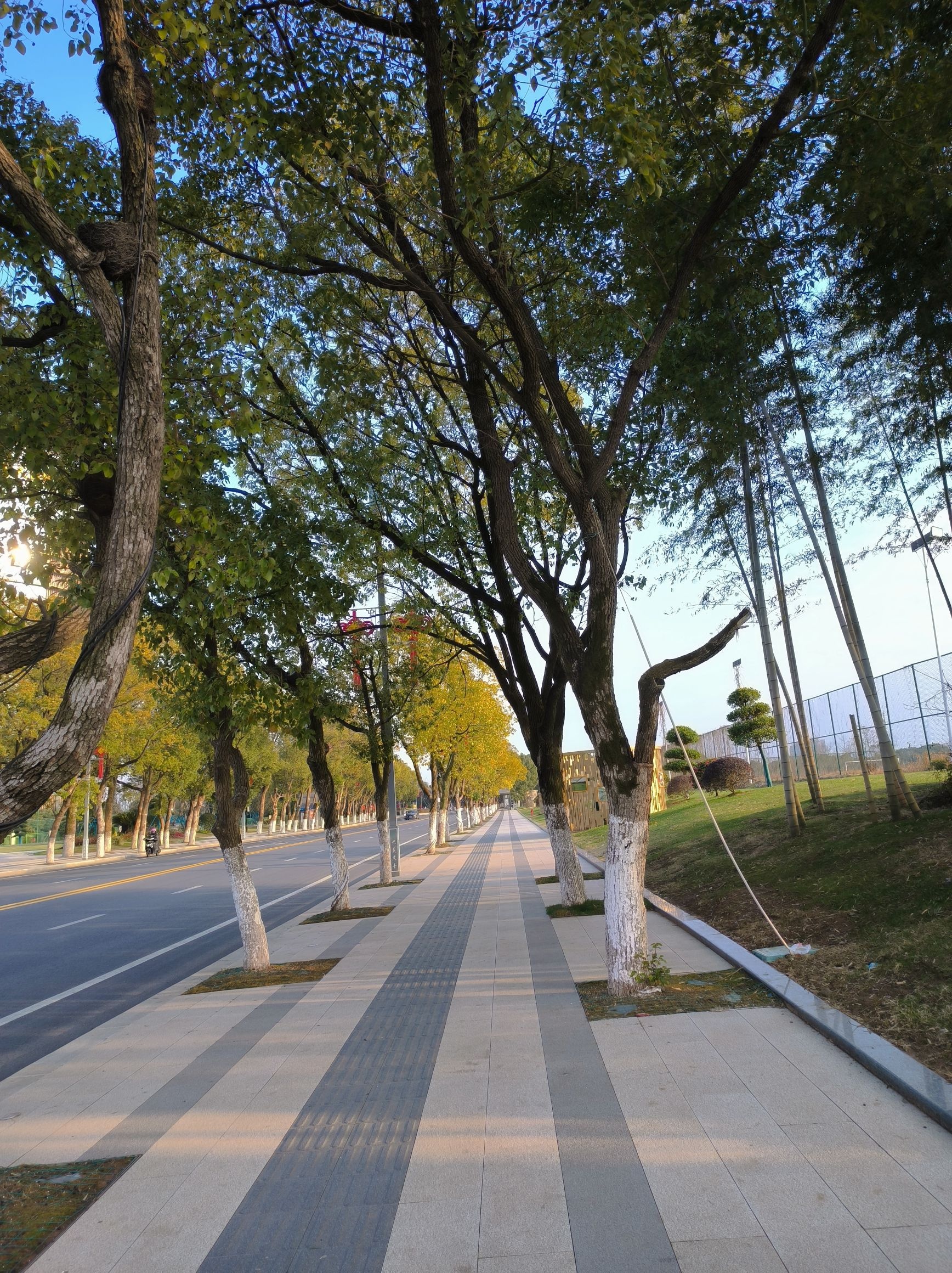 鄱阳湖国家湿地公园