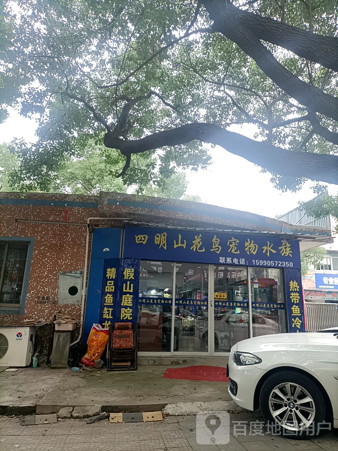 四明山花鸟宠物水族