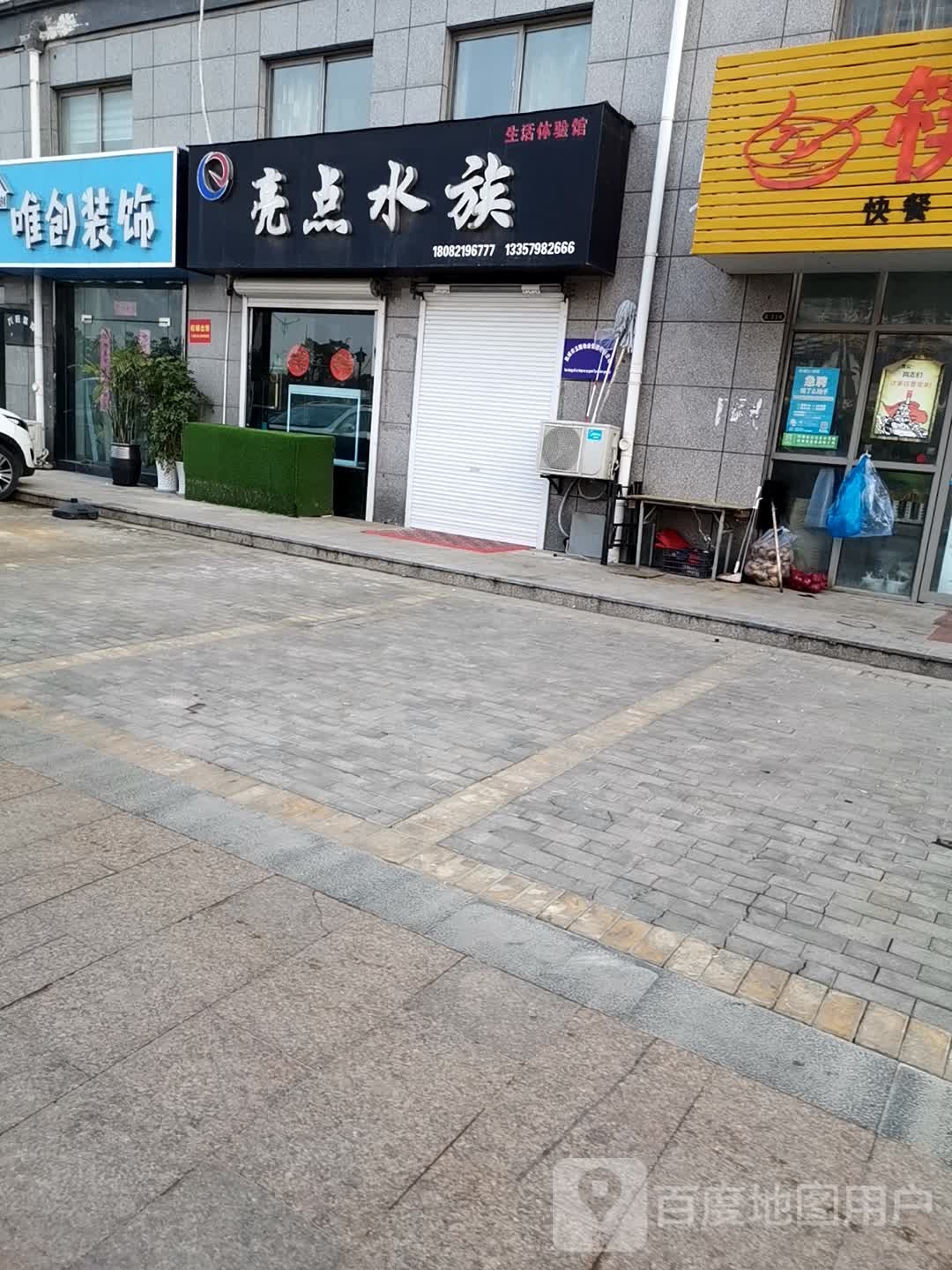 亮点水族生活体验