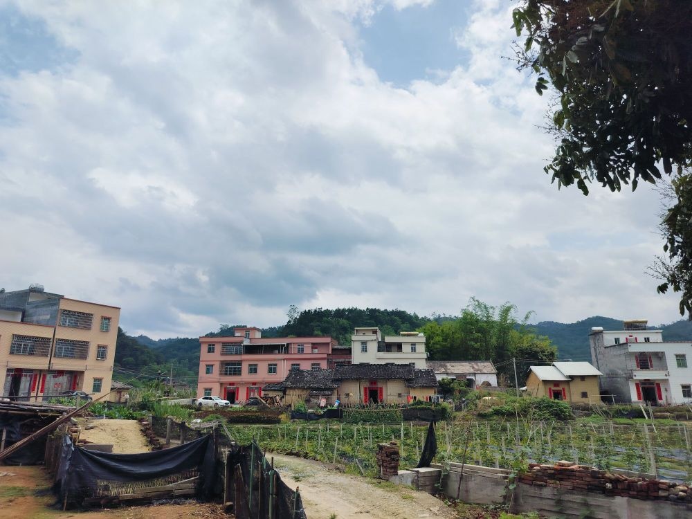 茅帘田心围16号