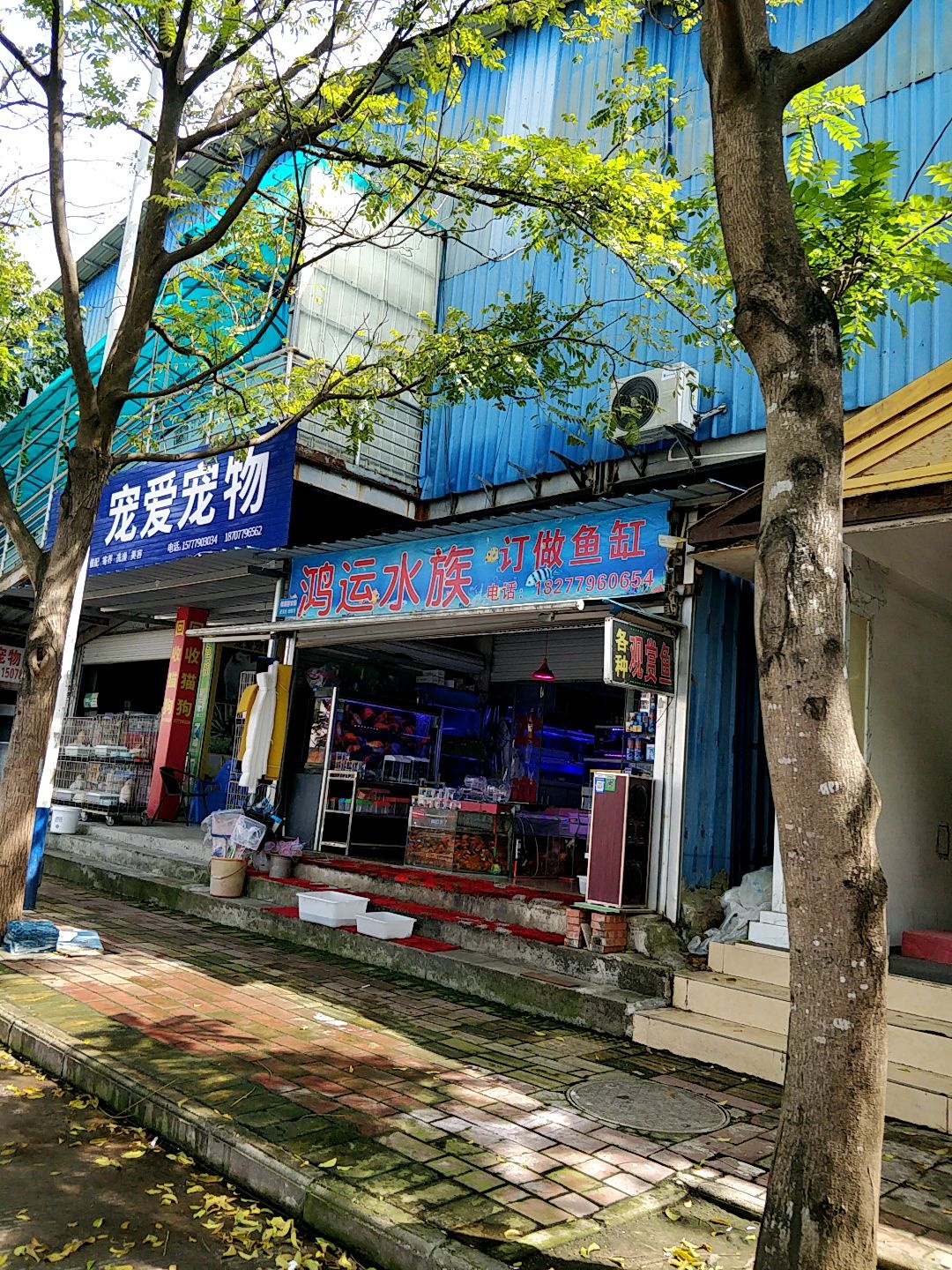 宠爱宠物(四川路店)