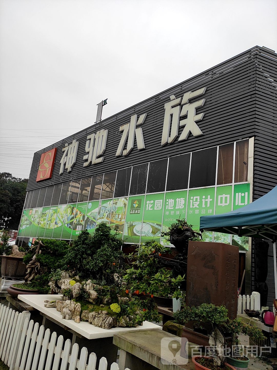 神驰水族(宏帆望海花都1区店)