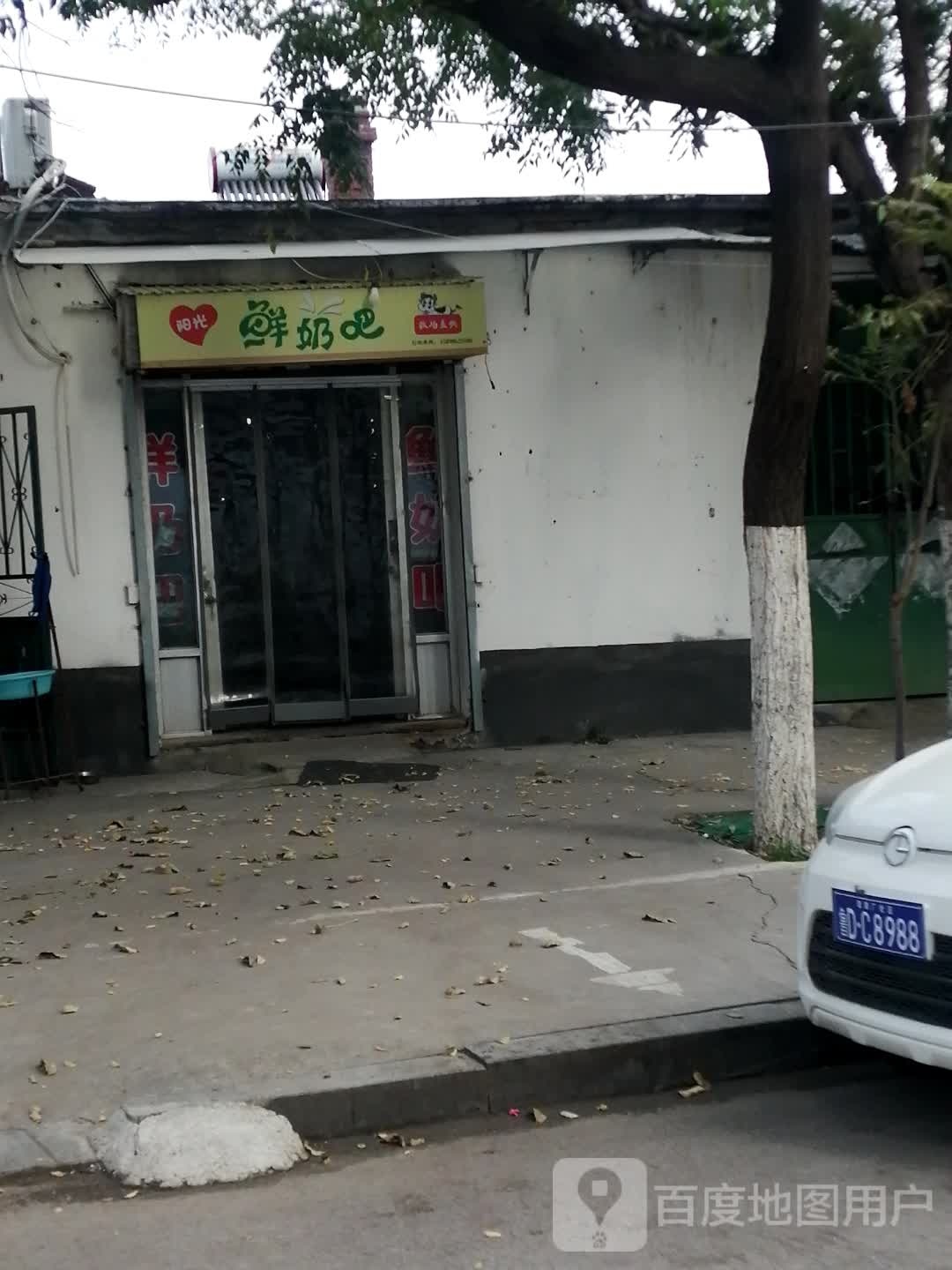 阳光鲜奶巴