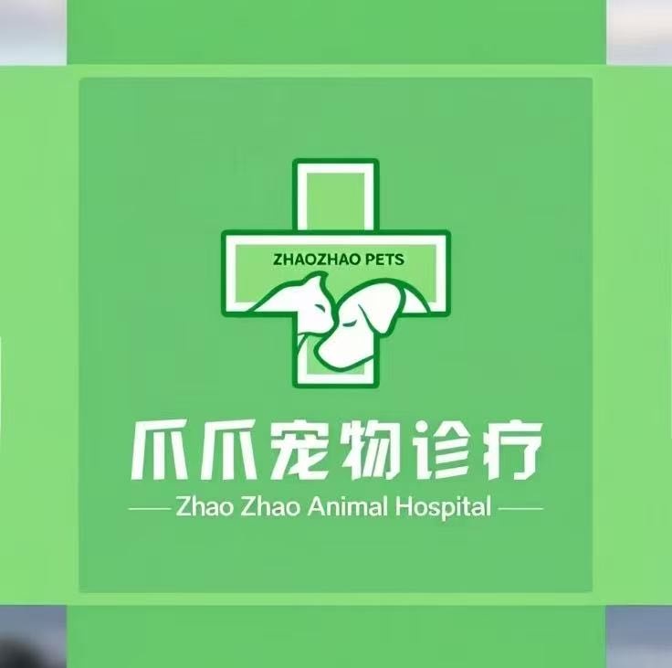 爪爪宠物诊疗