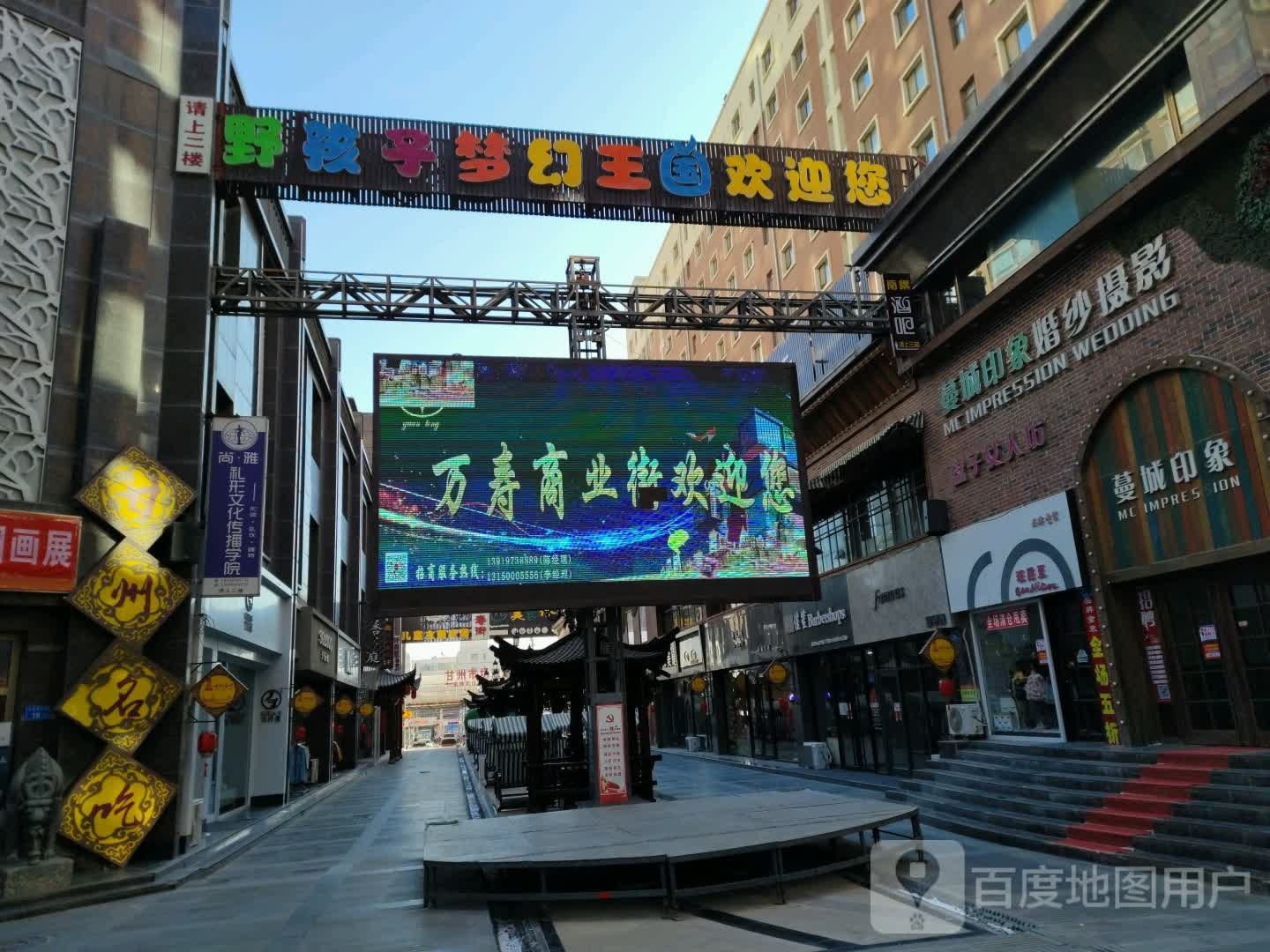 野孩子市梦幻王国(张掖店)