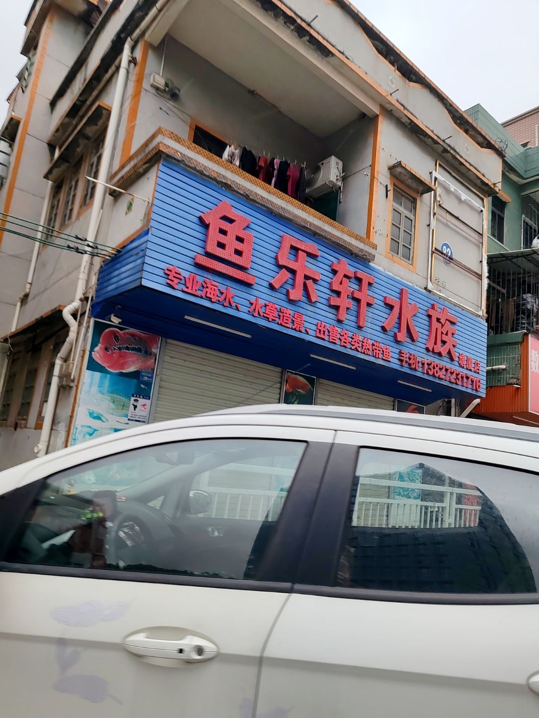 鱼乐轩水族(塘厦店)