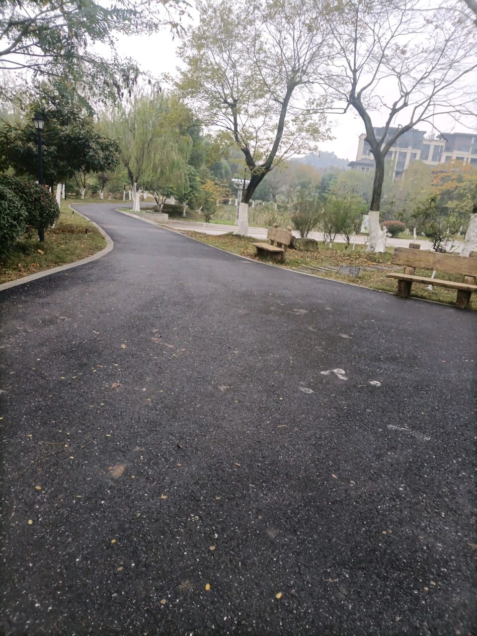 万年湖湿地公园健走步道
