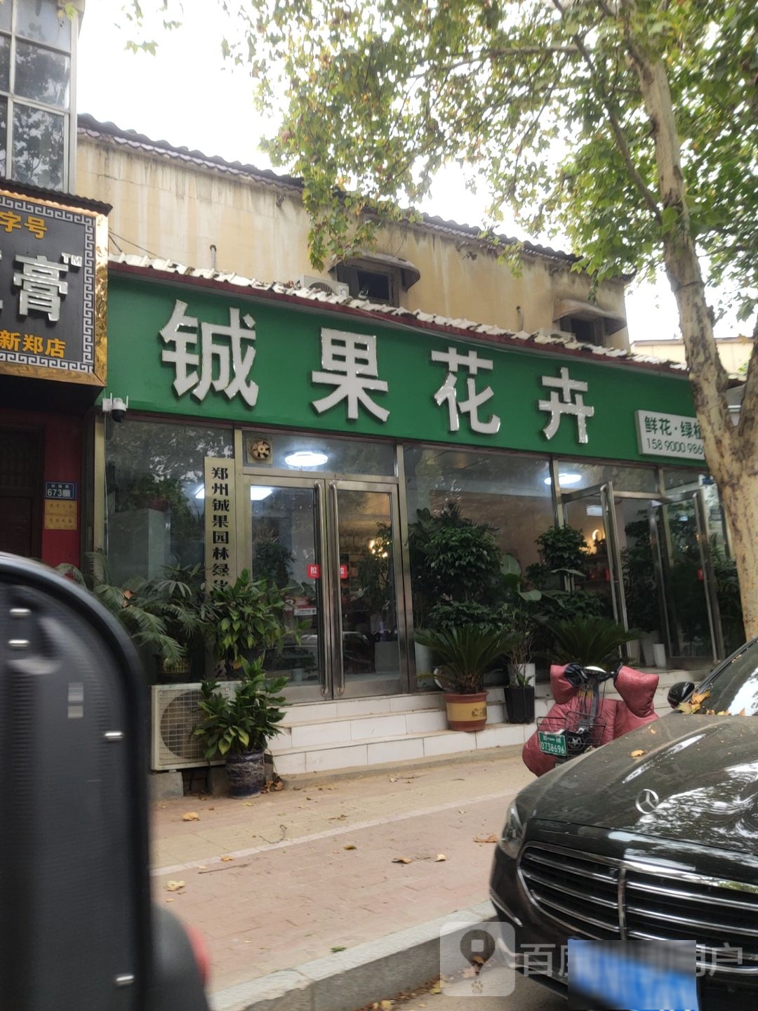 新郑市铖果花卉(新建北路店)