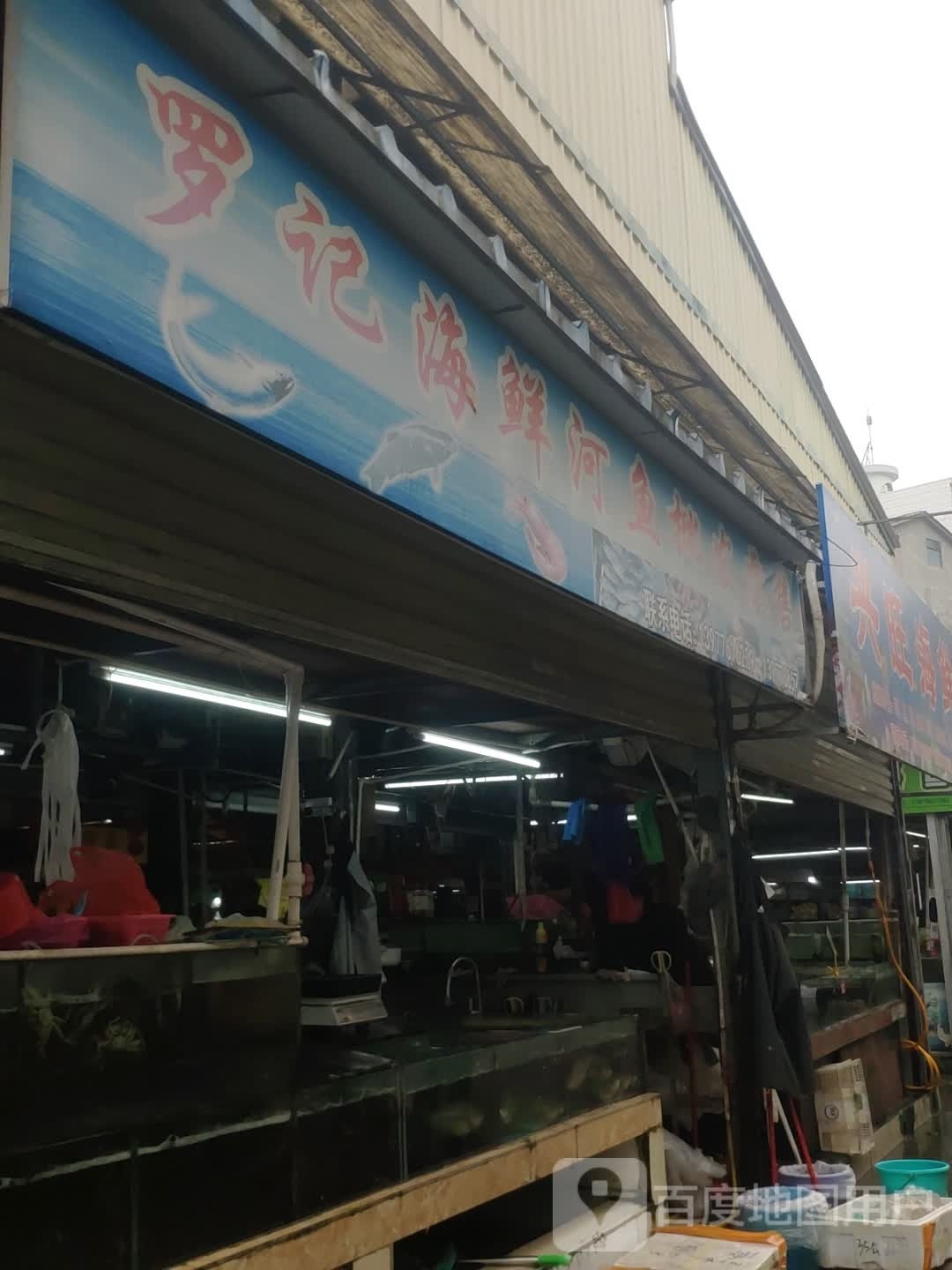 罗记海鲜河鱼批发零售