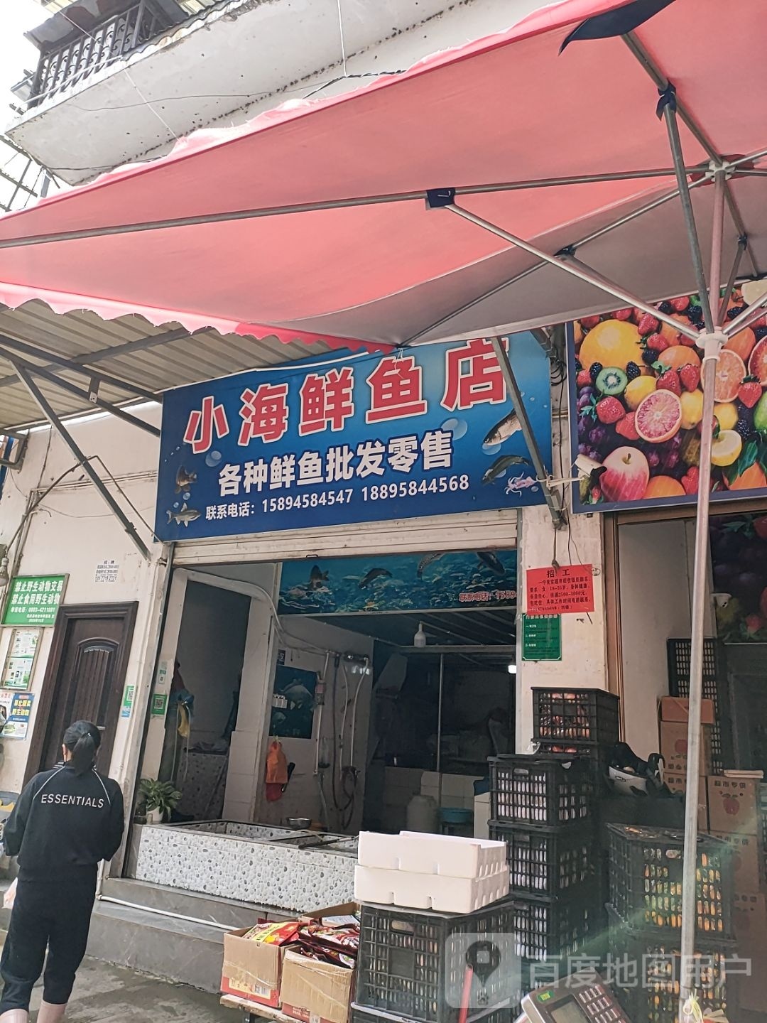 宣浩小海鲜鱼店