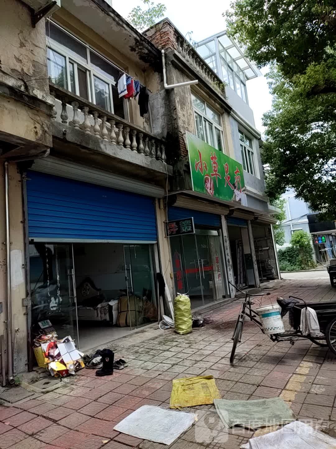小草组疗