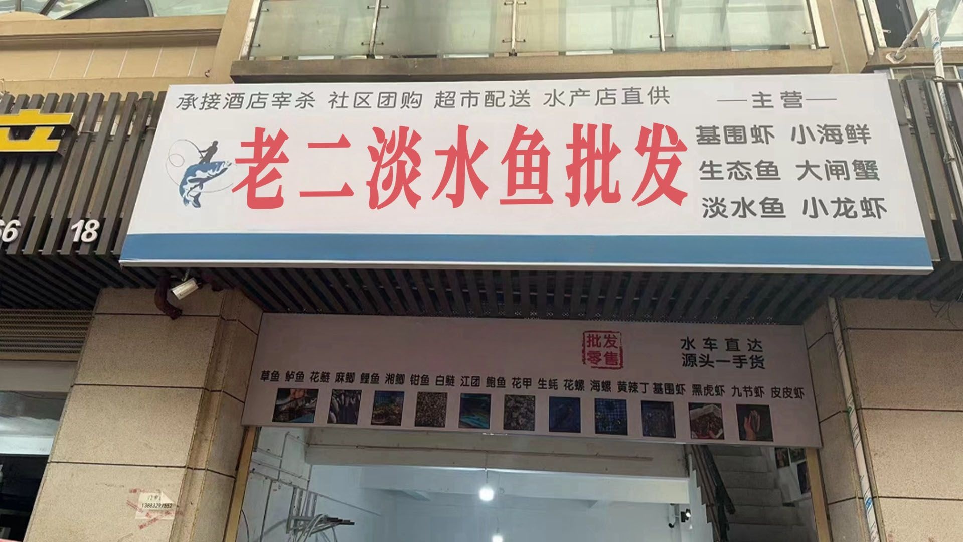 老二淡水鱼批发