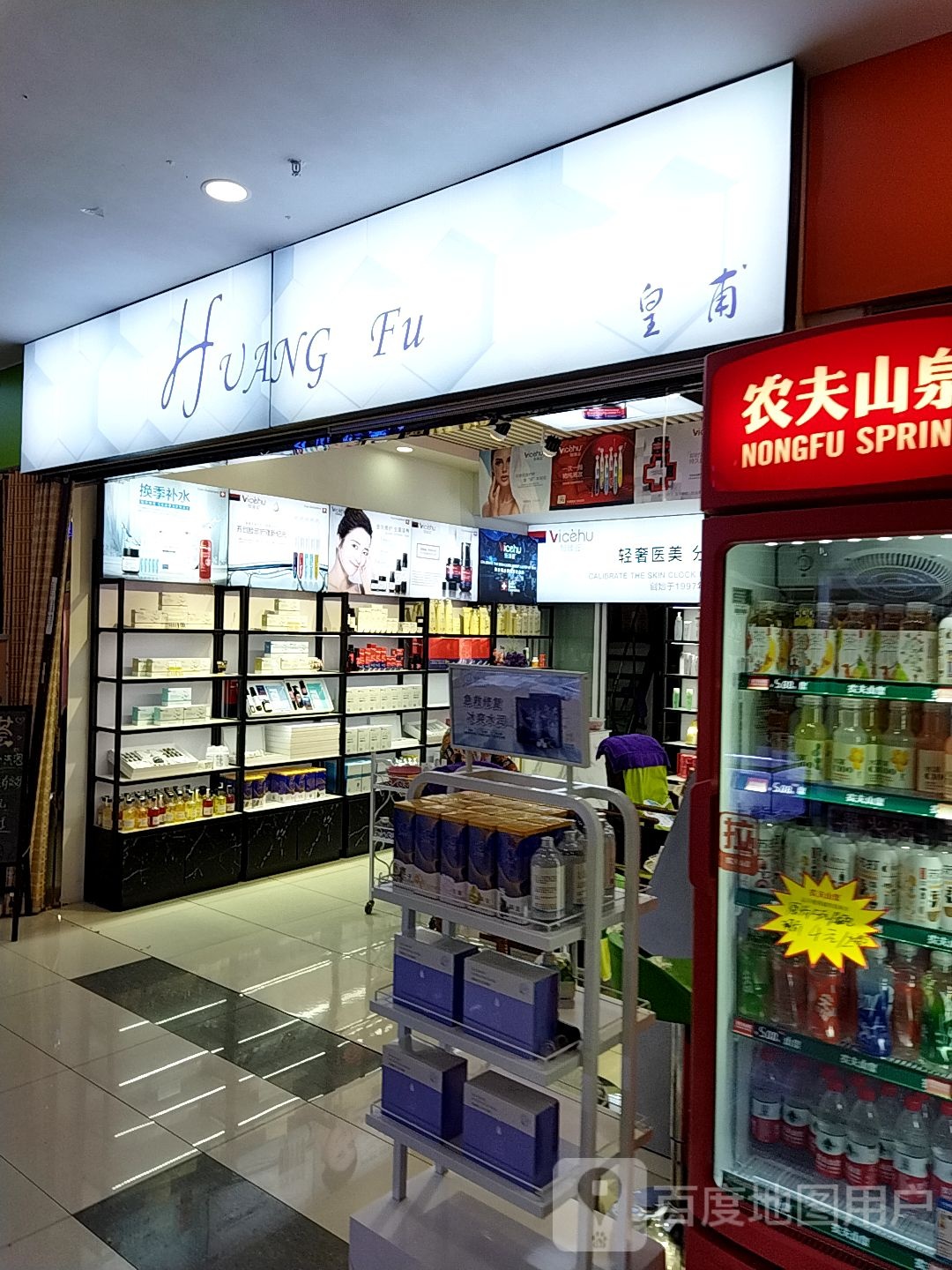 皇普