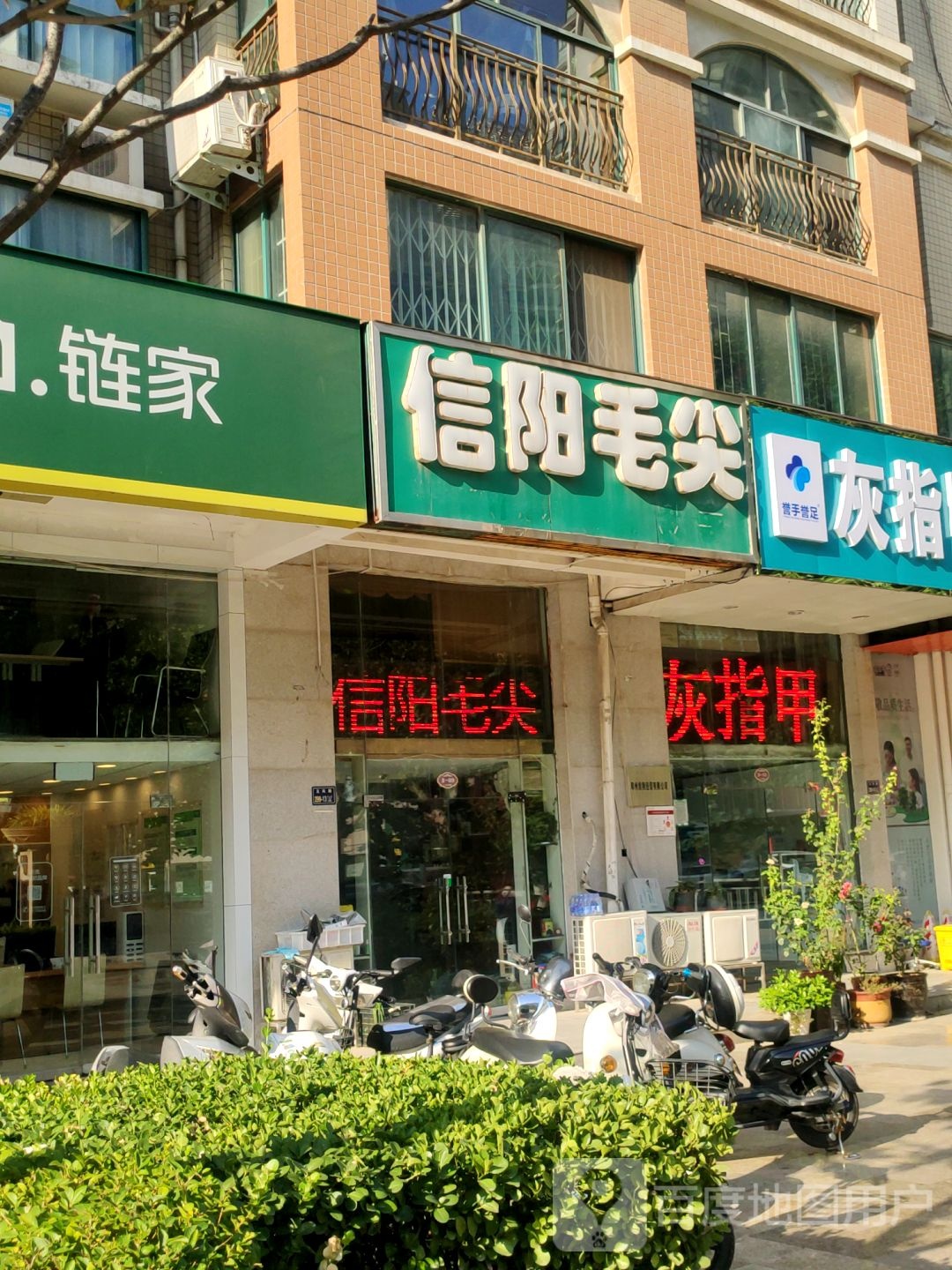 信阳毛尖(玉凤路店)