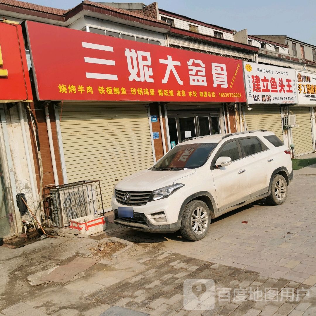 建立鱼头金王