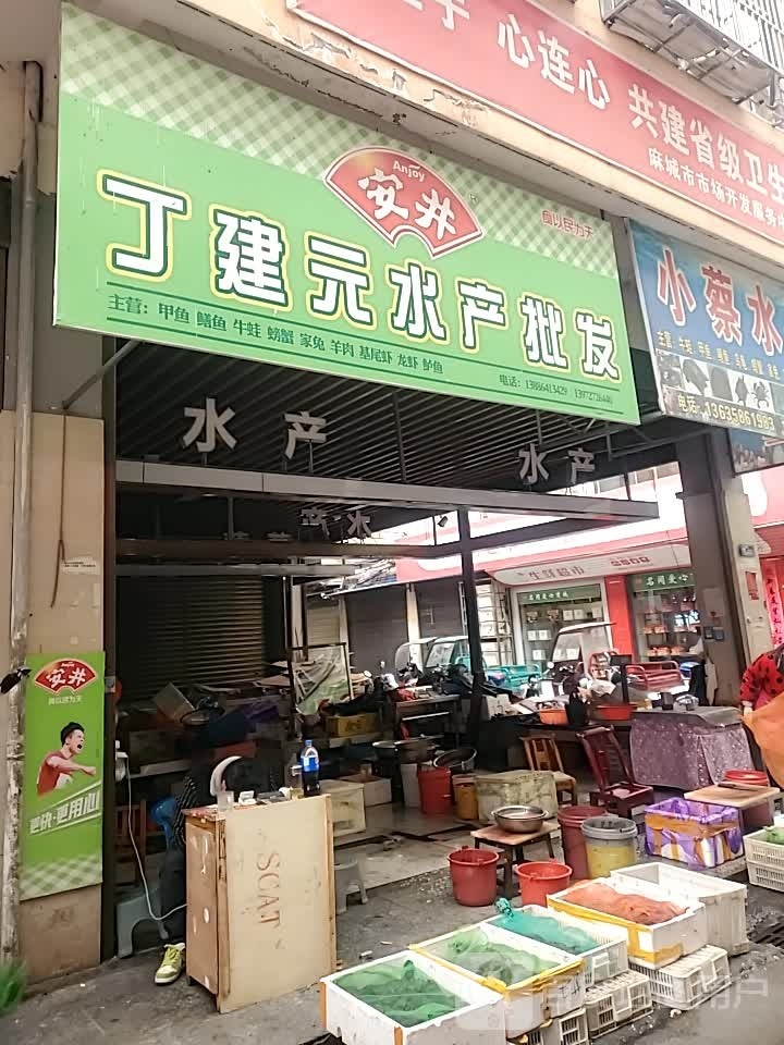 丁建元水产批发(鼓楼菜市场)