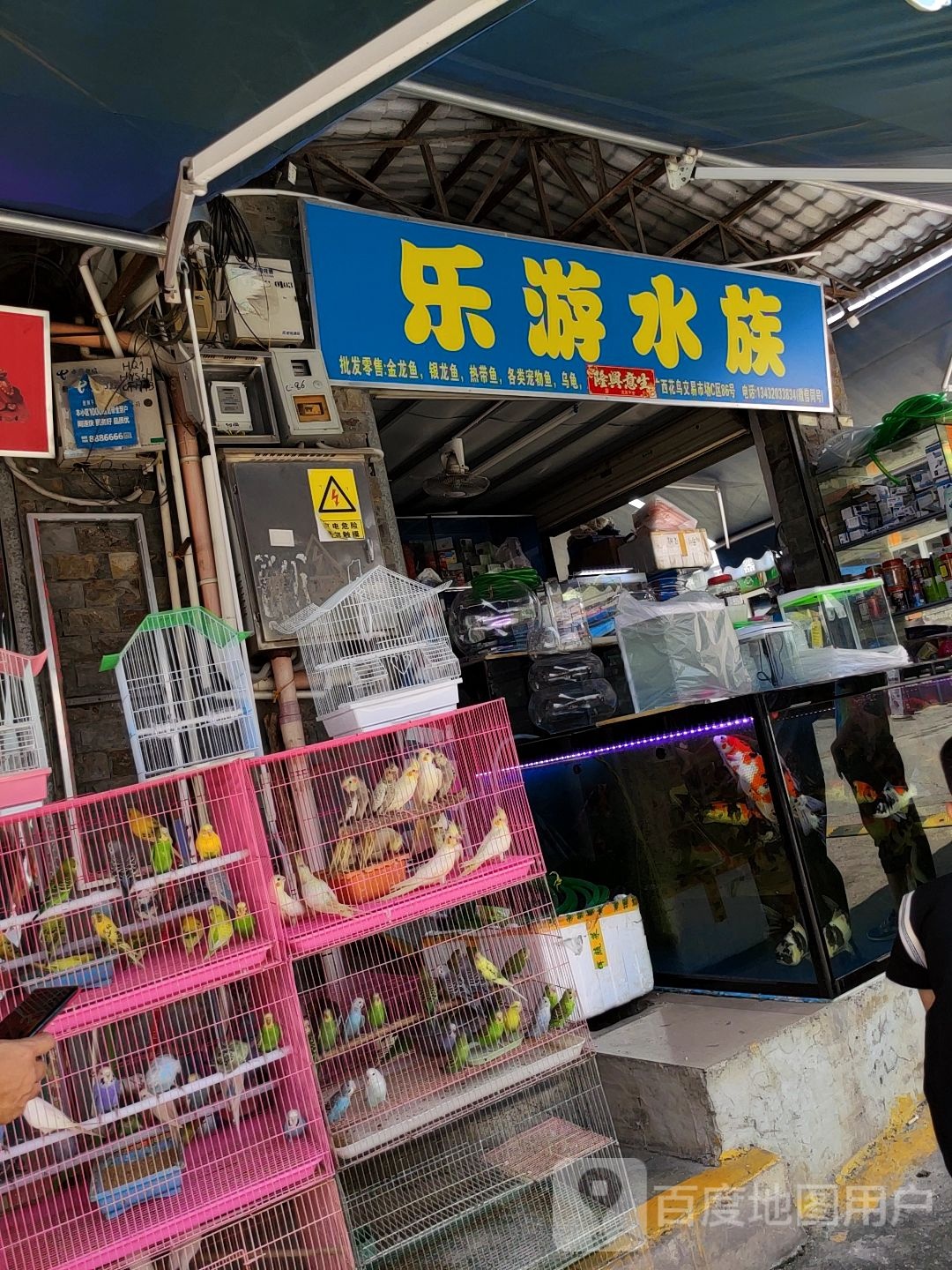 乐游水族(广西花鸟交易市场店)
