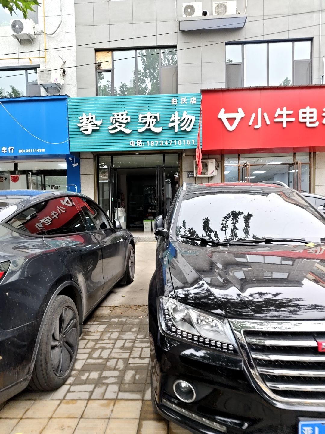 挚爱宠物(曲沃店)