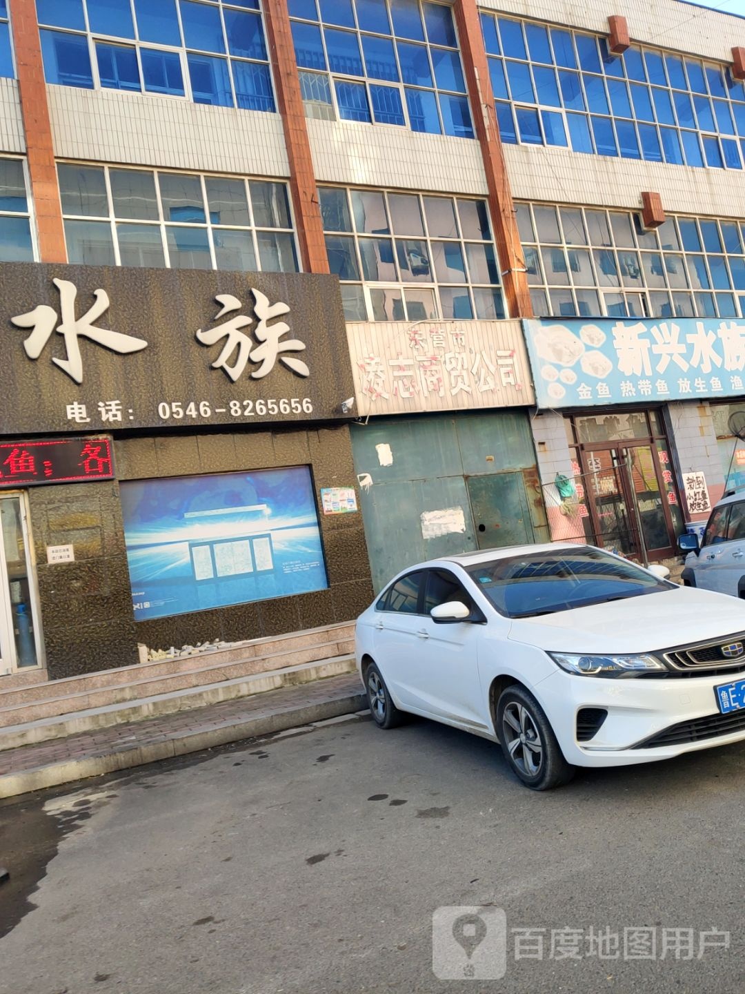 大洋水族(梁山路店)