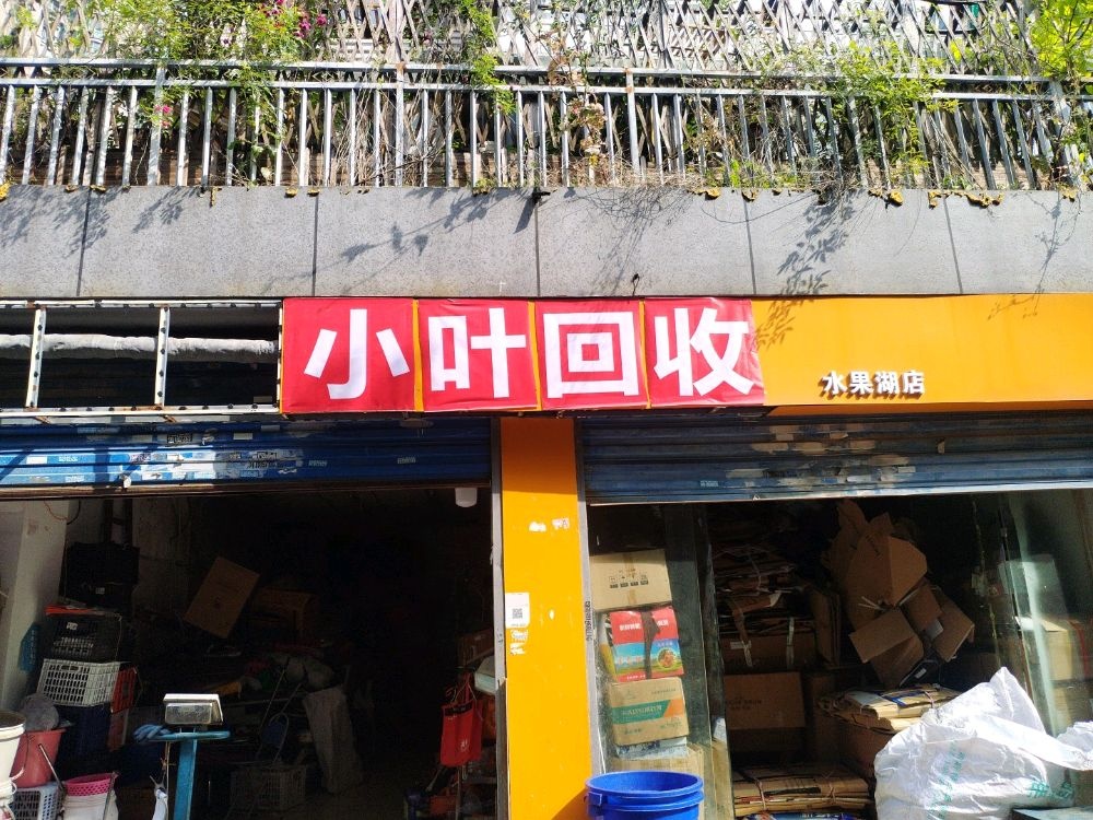 小叶回收