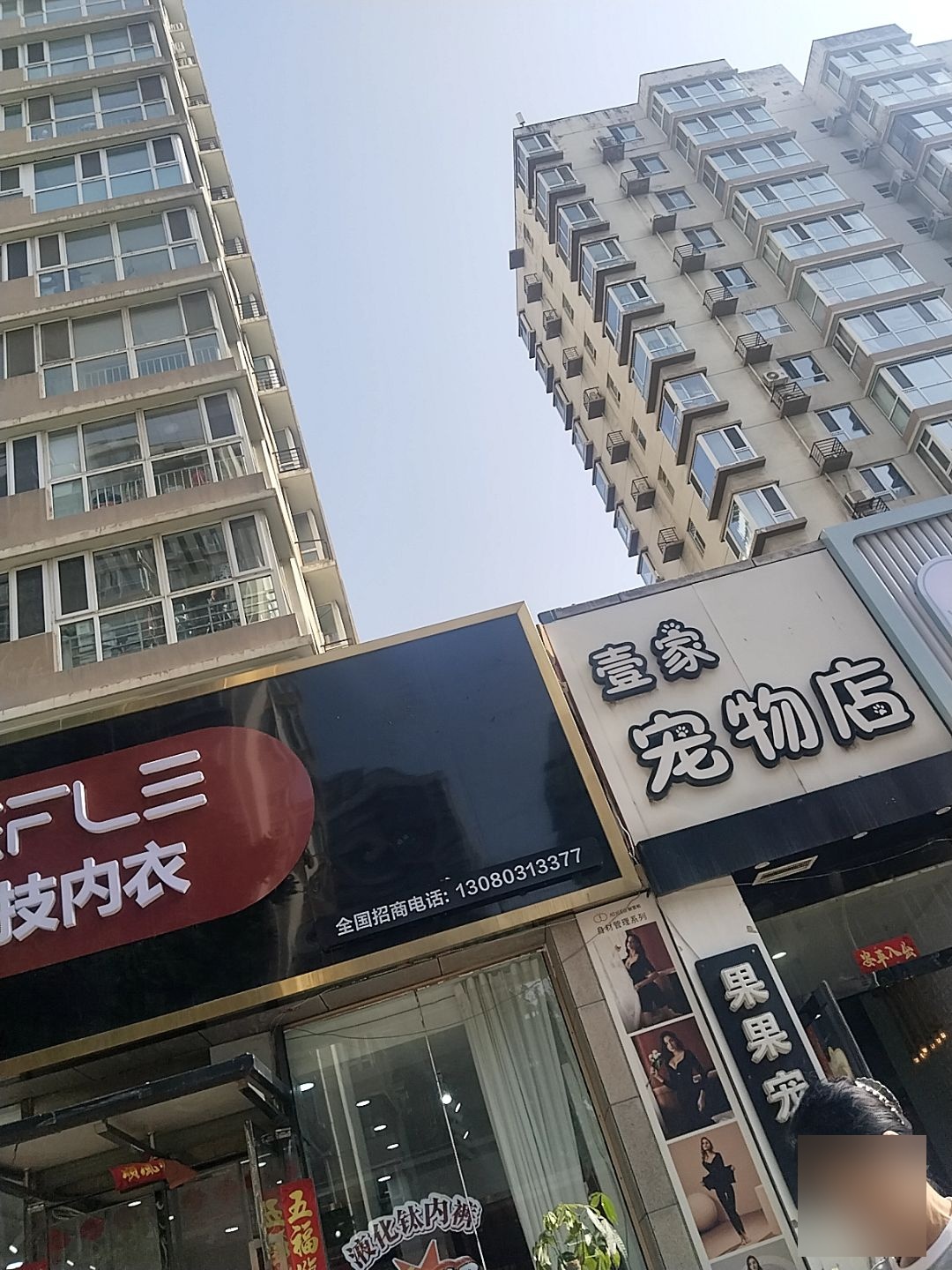 壹家宠物店