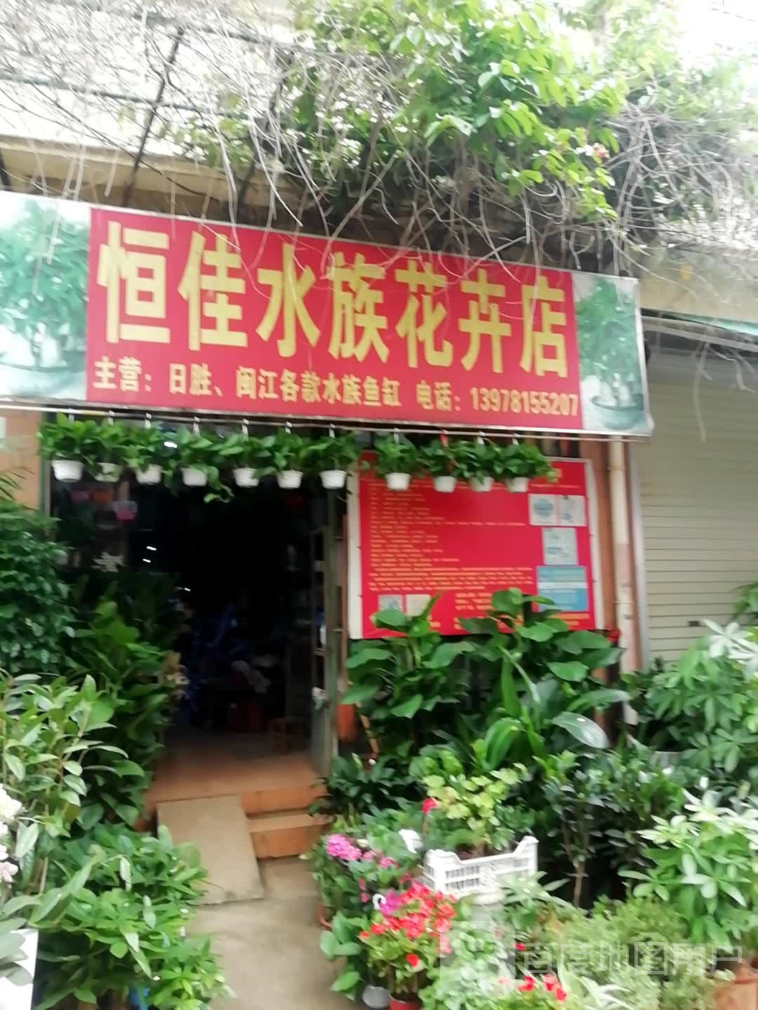 恒佳水族花卉店