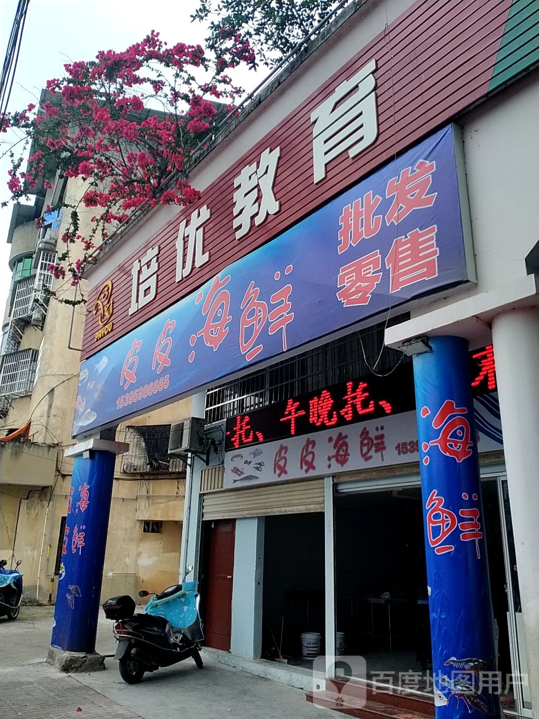 皮皮海鲜