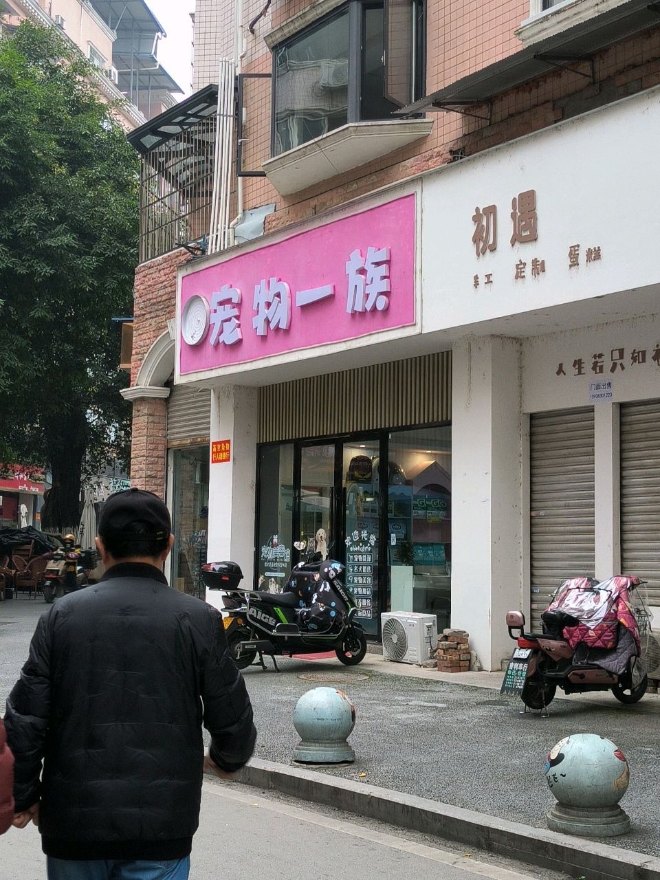 宠物一族