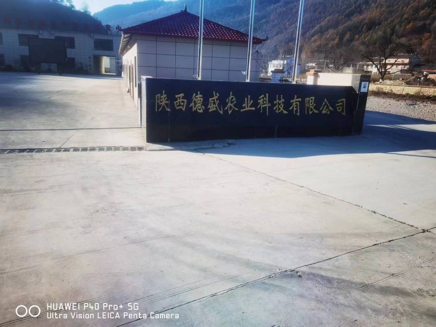陕西德盛农业科技有限公司