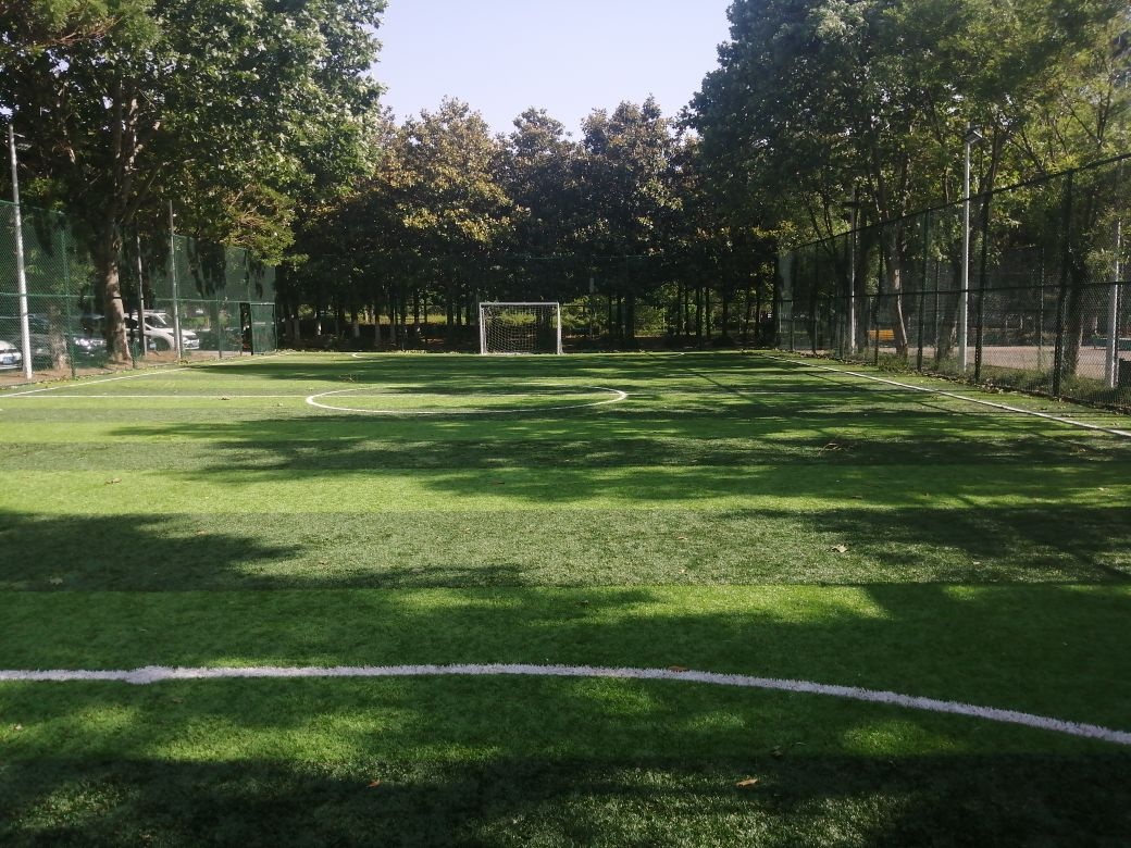 亳州市政府足球场地