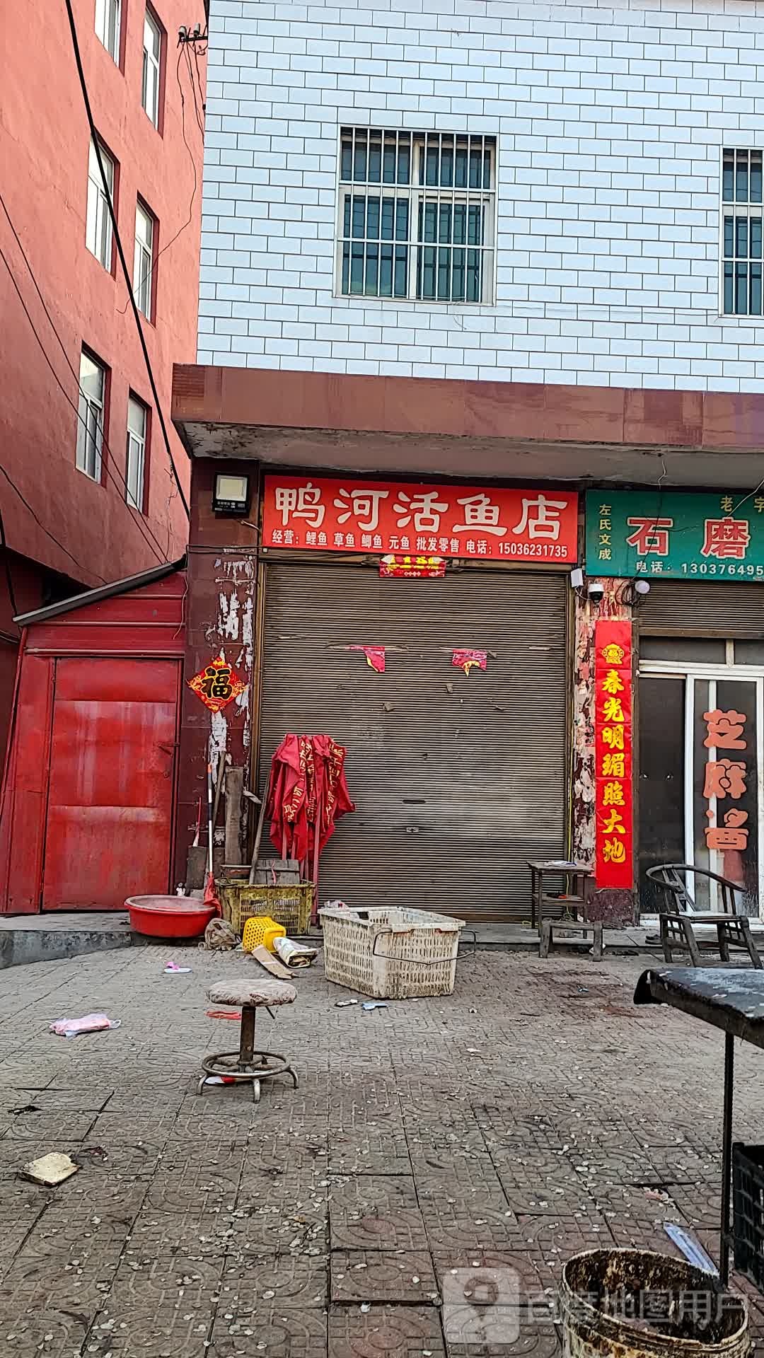 活鱼店