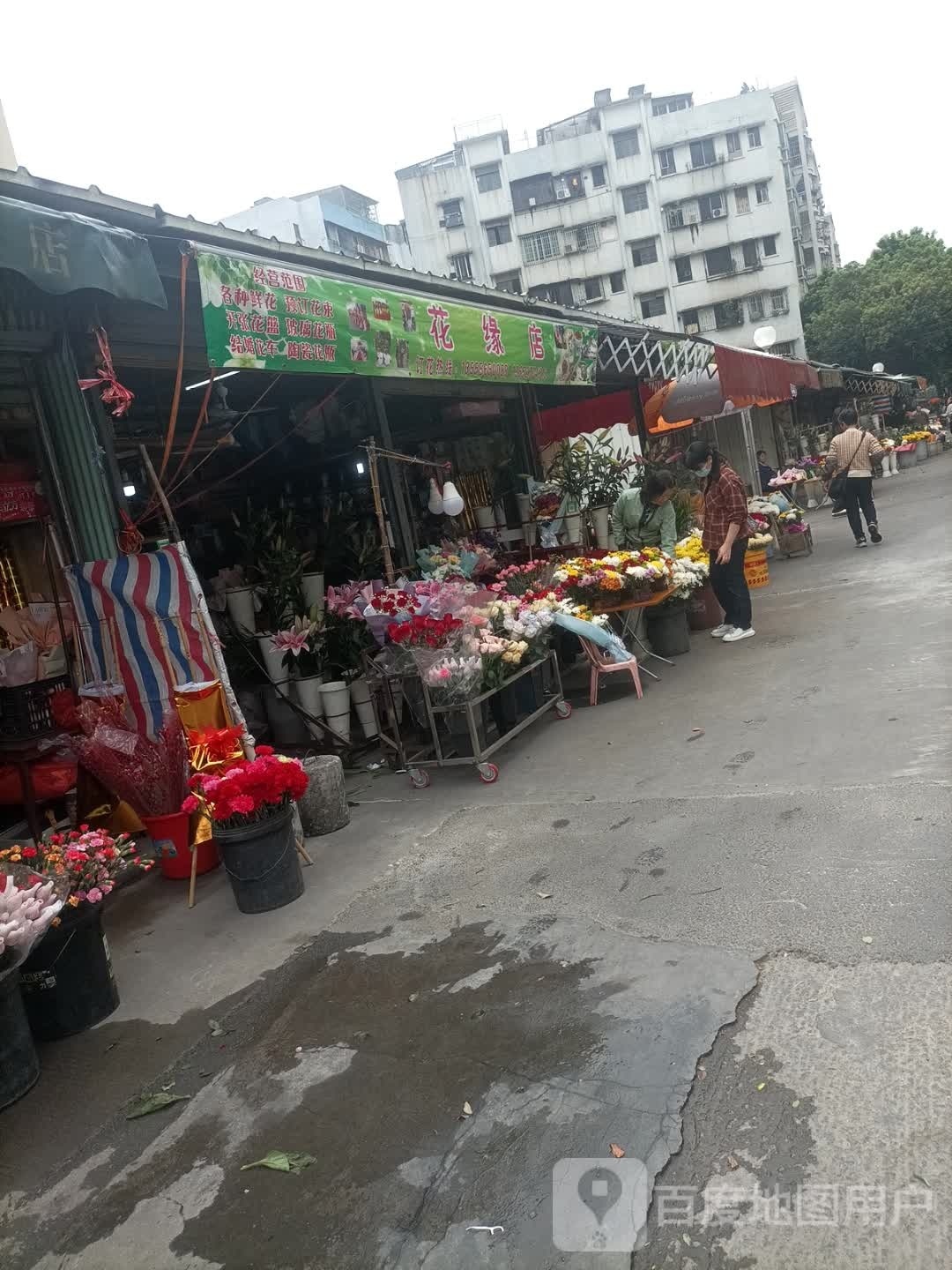 先花店(新会区店)