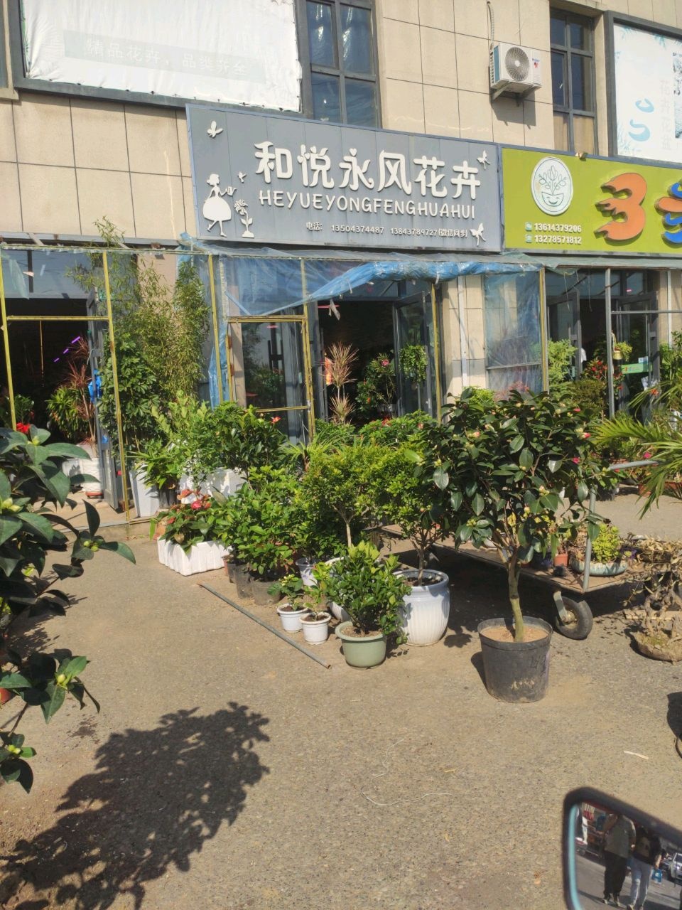 和悦永风花卉(辽源市中农商贸城店)