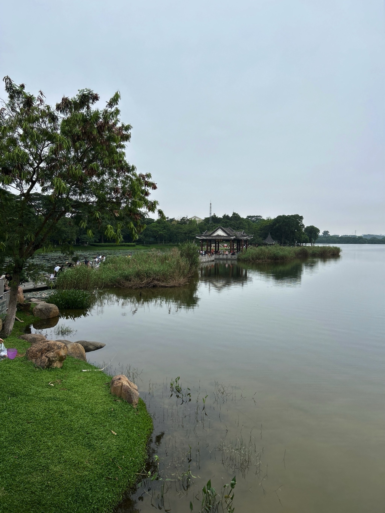 松湖烟雨