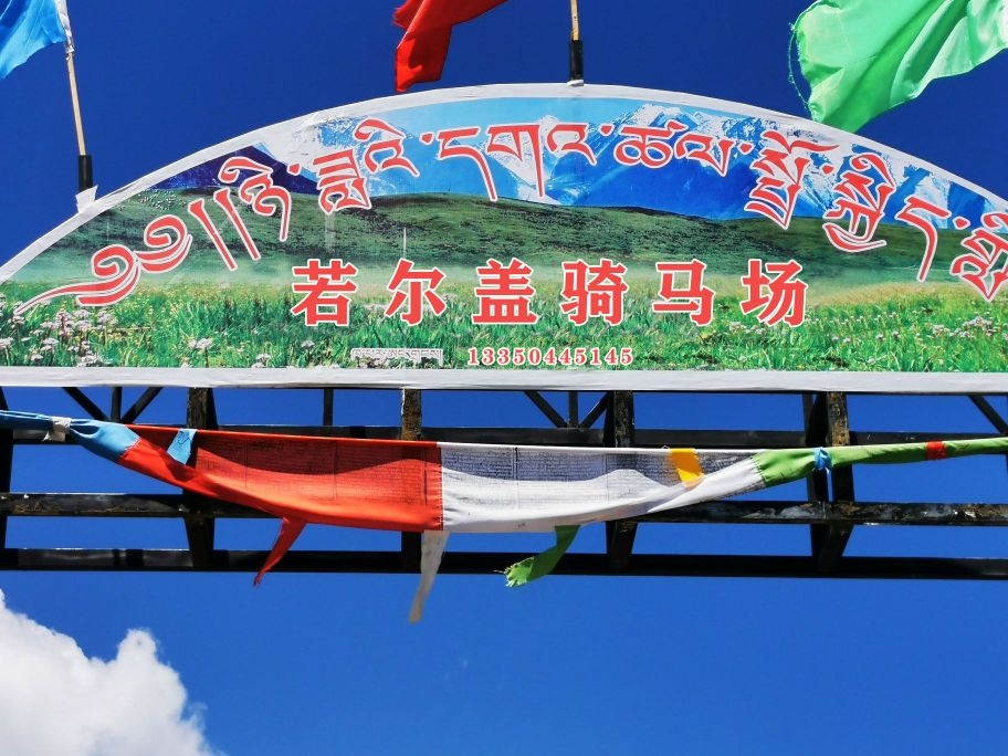 若尔盖骑马场