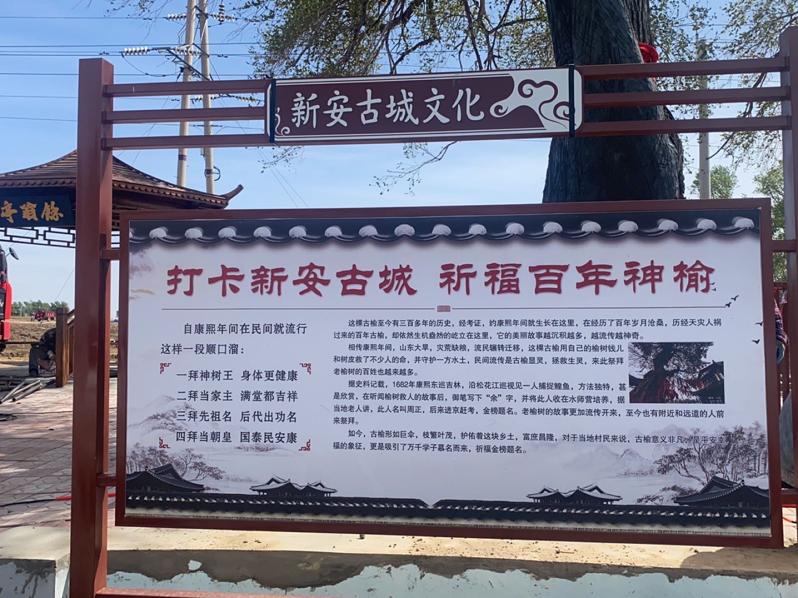 古榆树