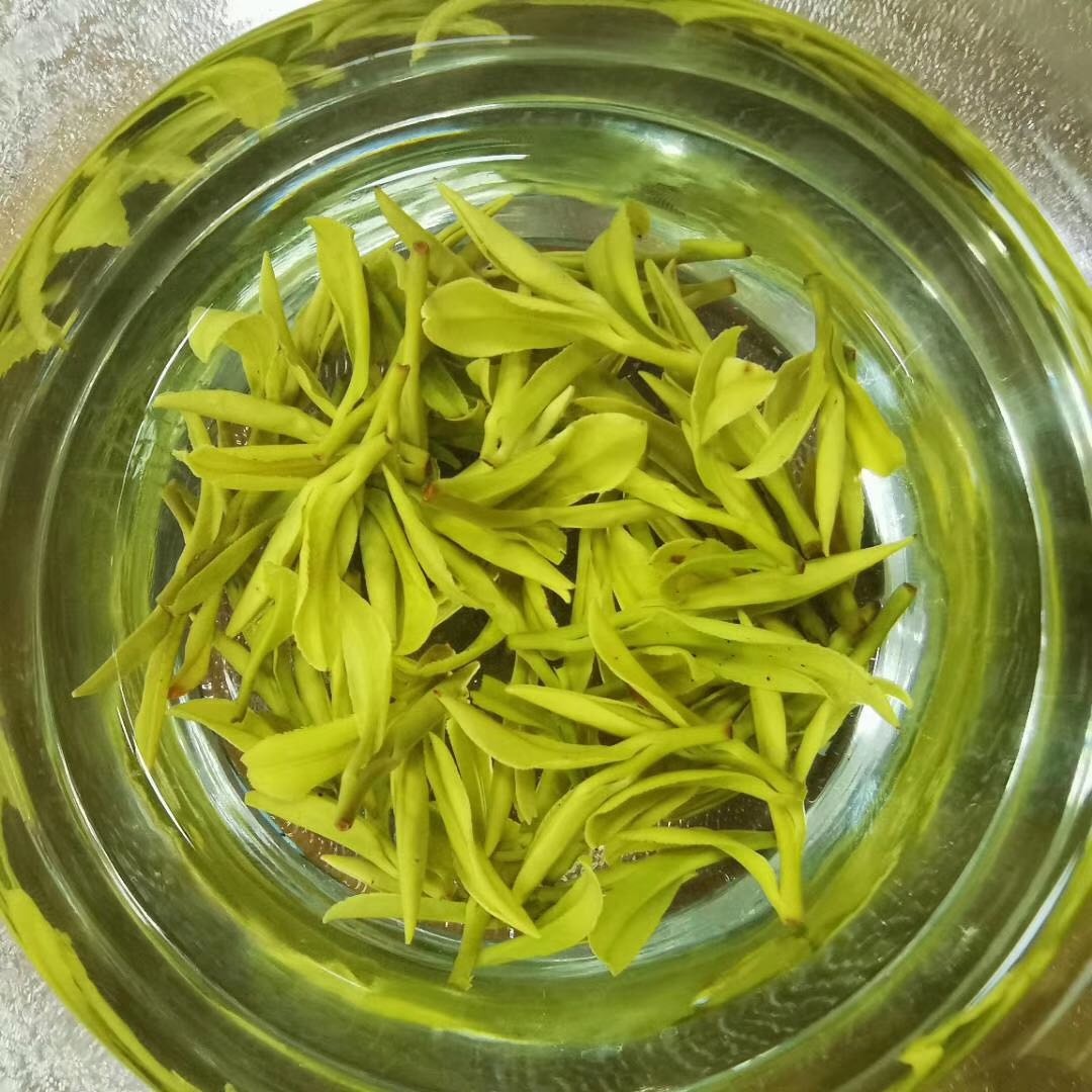剑湖茶叶批发
