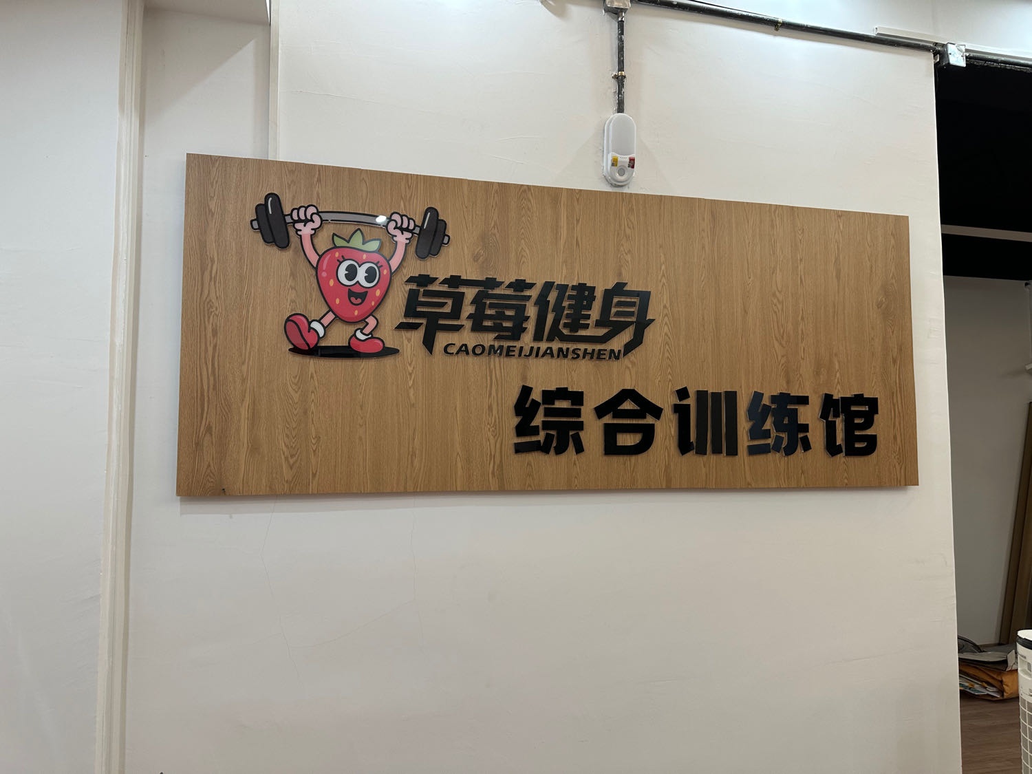 草莓健身综合训练馆