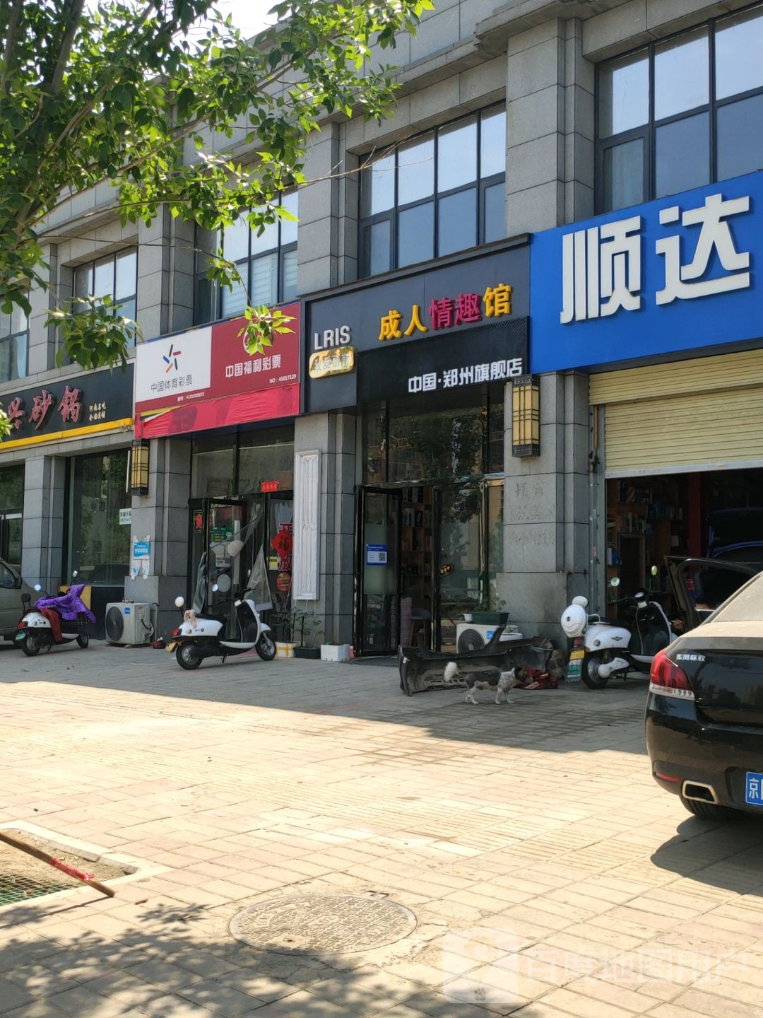 致爱丽斯成人情趣馆中国郑州旗舰店