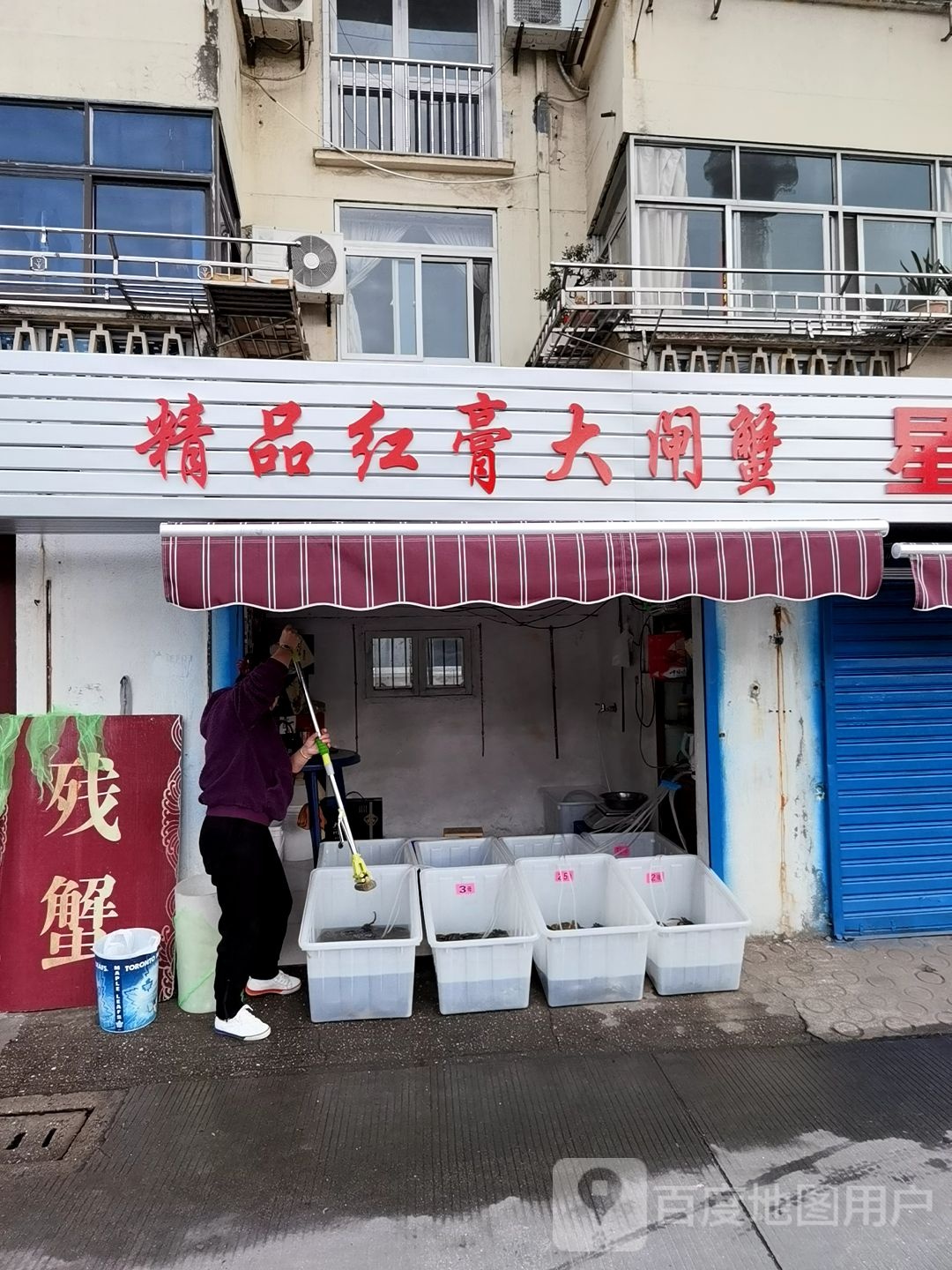 饰品红膏大闸蟹