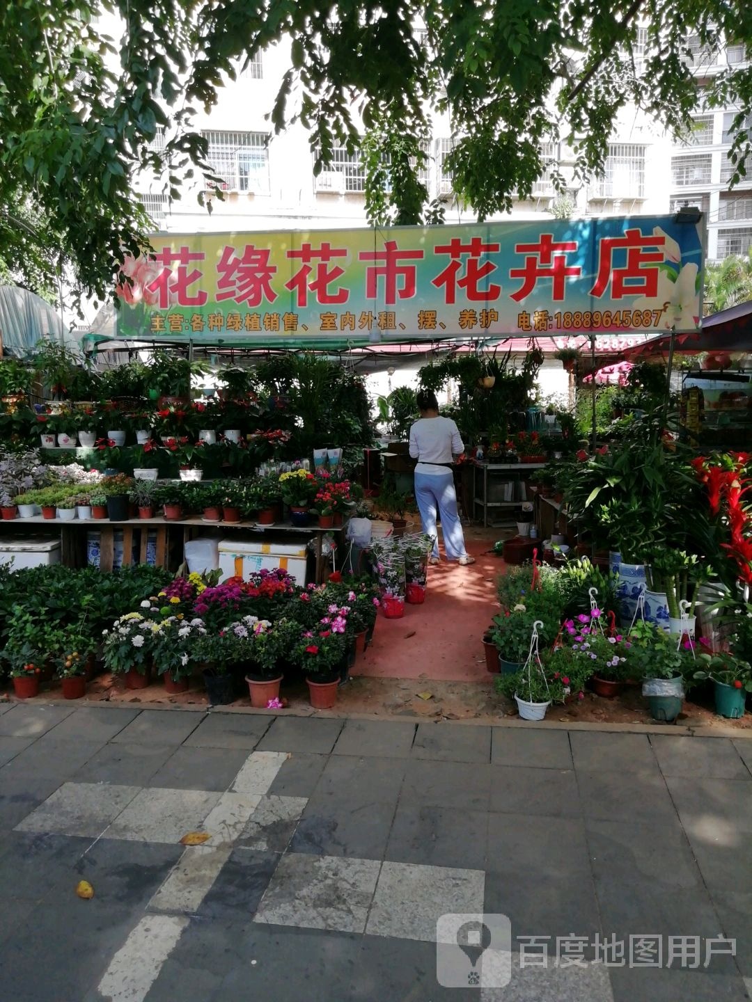 花缘花市花卉店