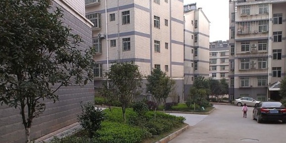 惠泽园