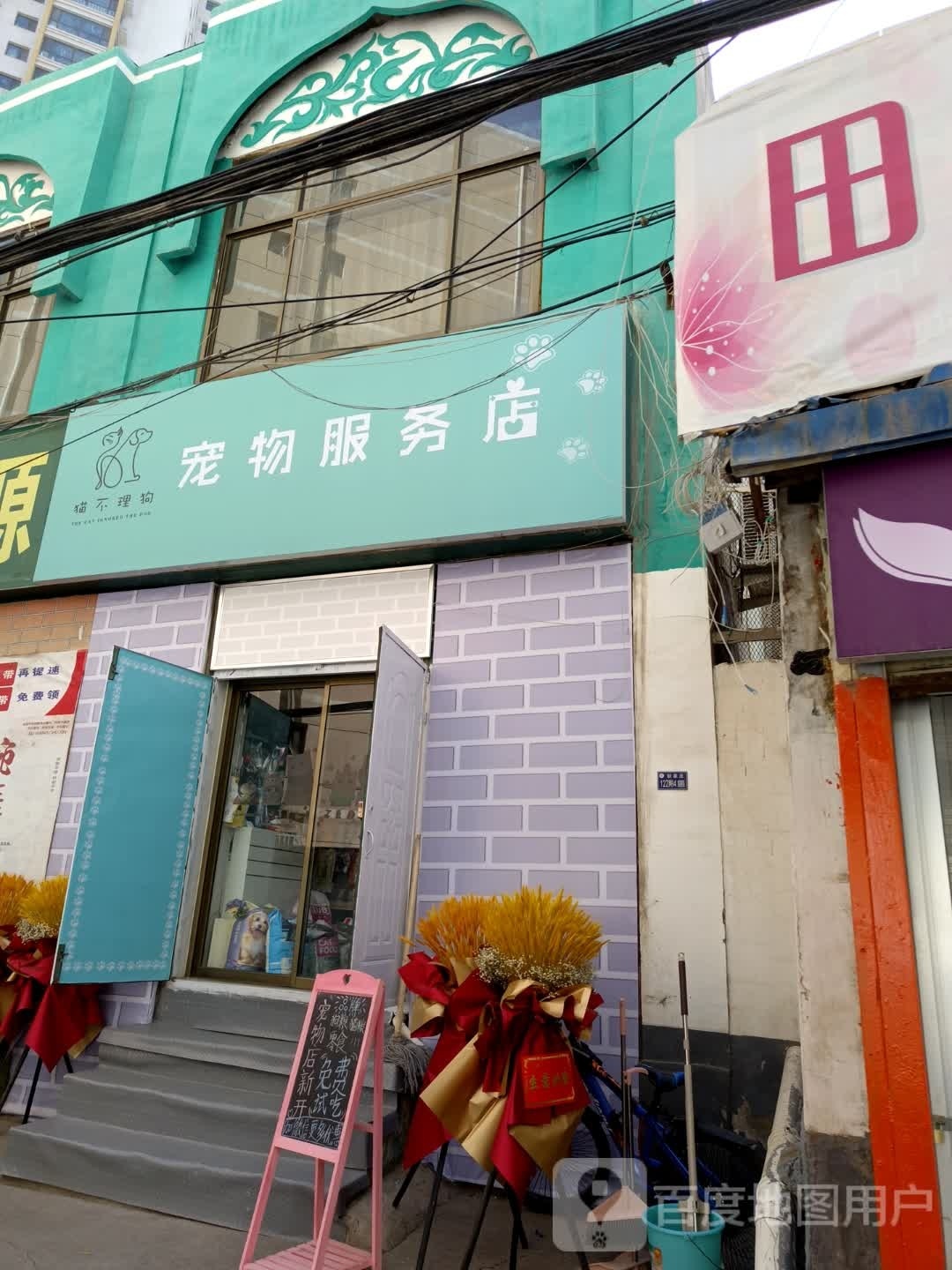 猫不理狗宠物服务店