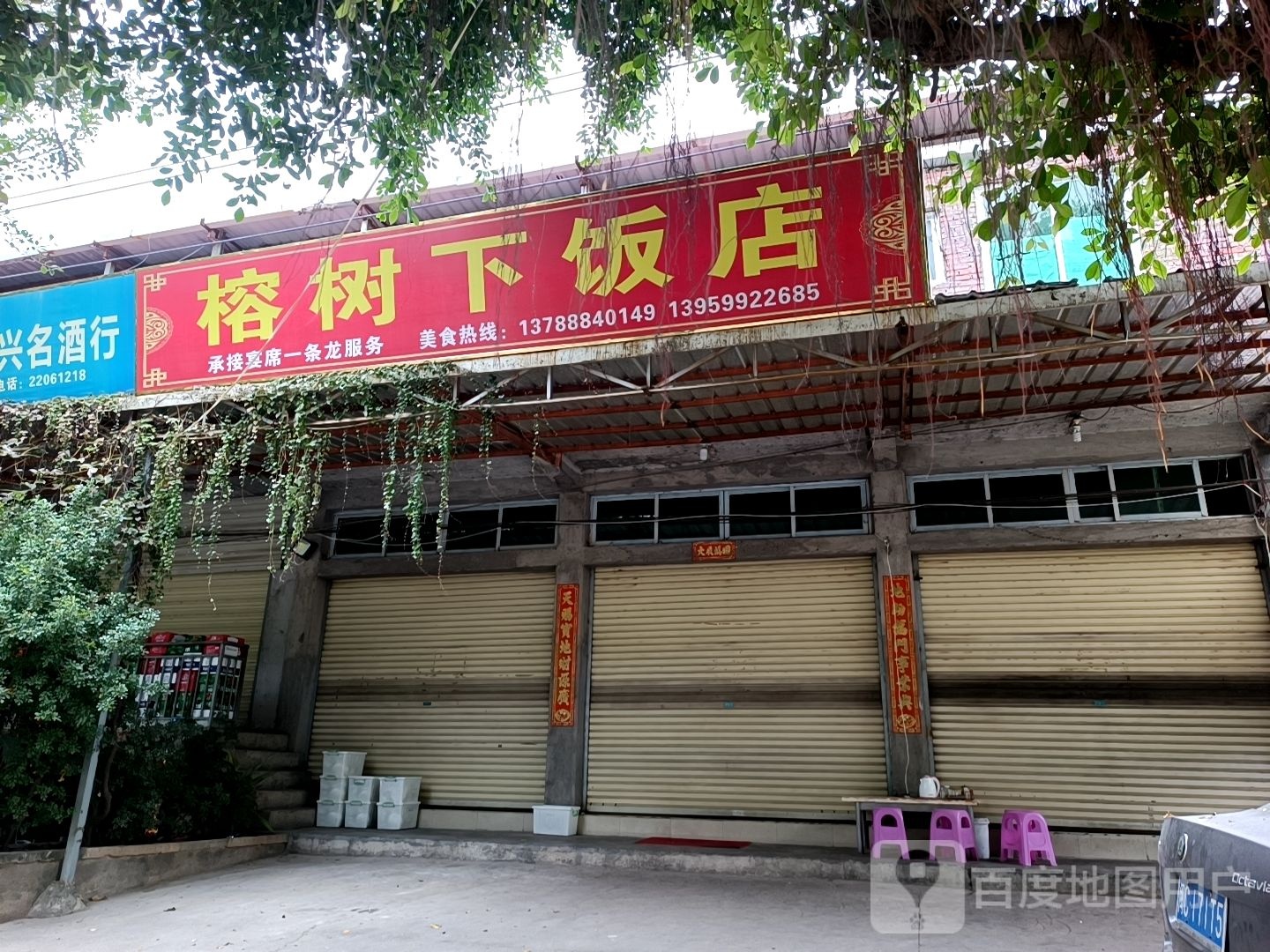 榕树下大饭