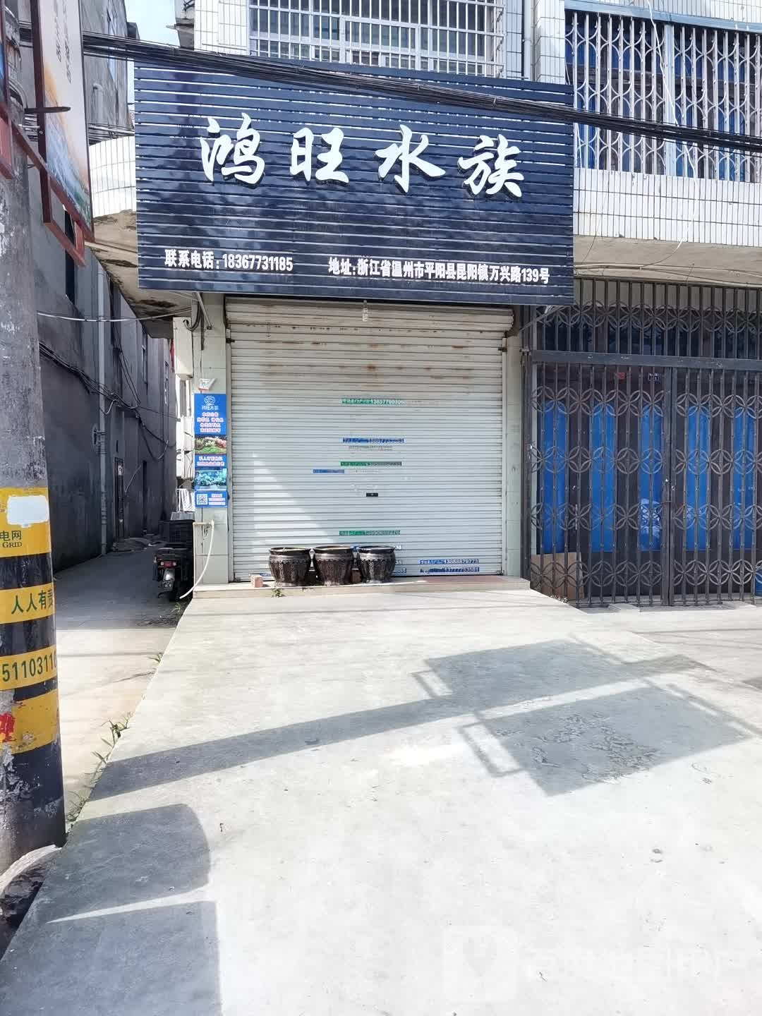 鸿汪观赏鱼店